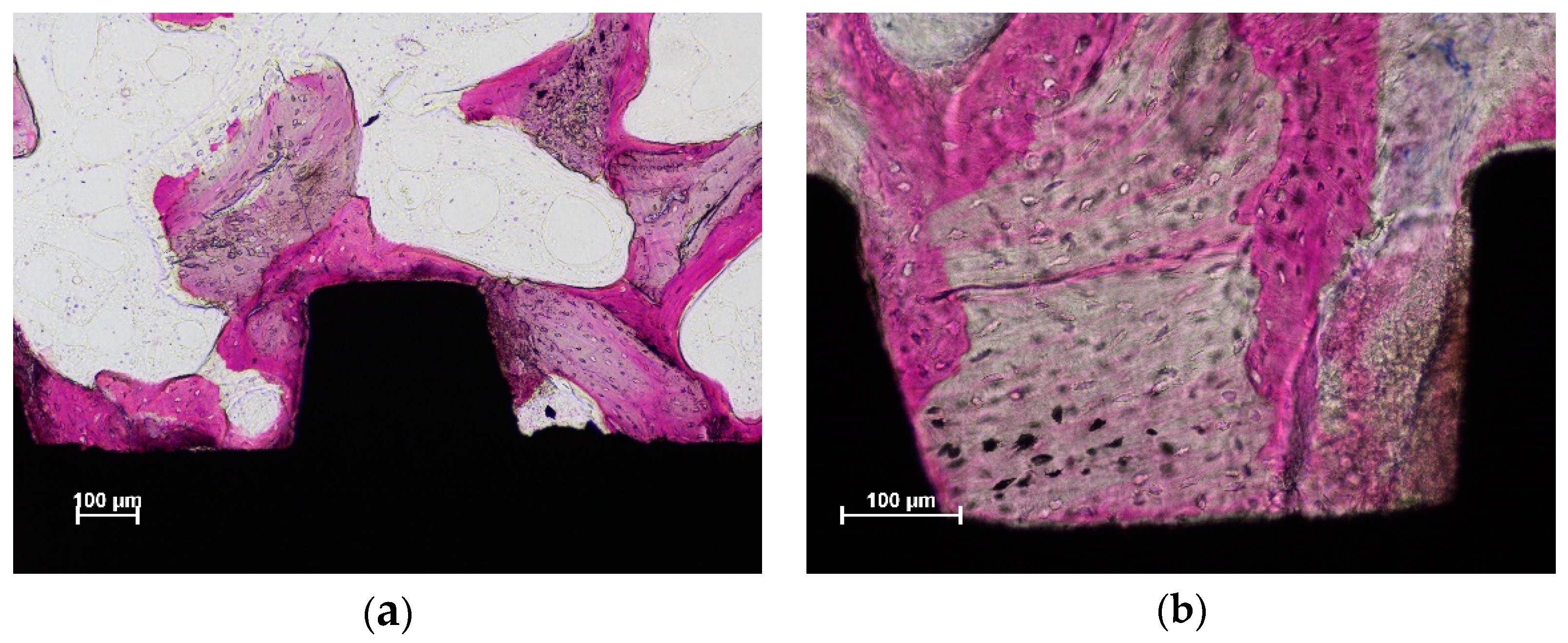 Dentistry 10 00105 g005