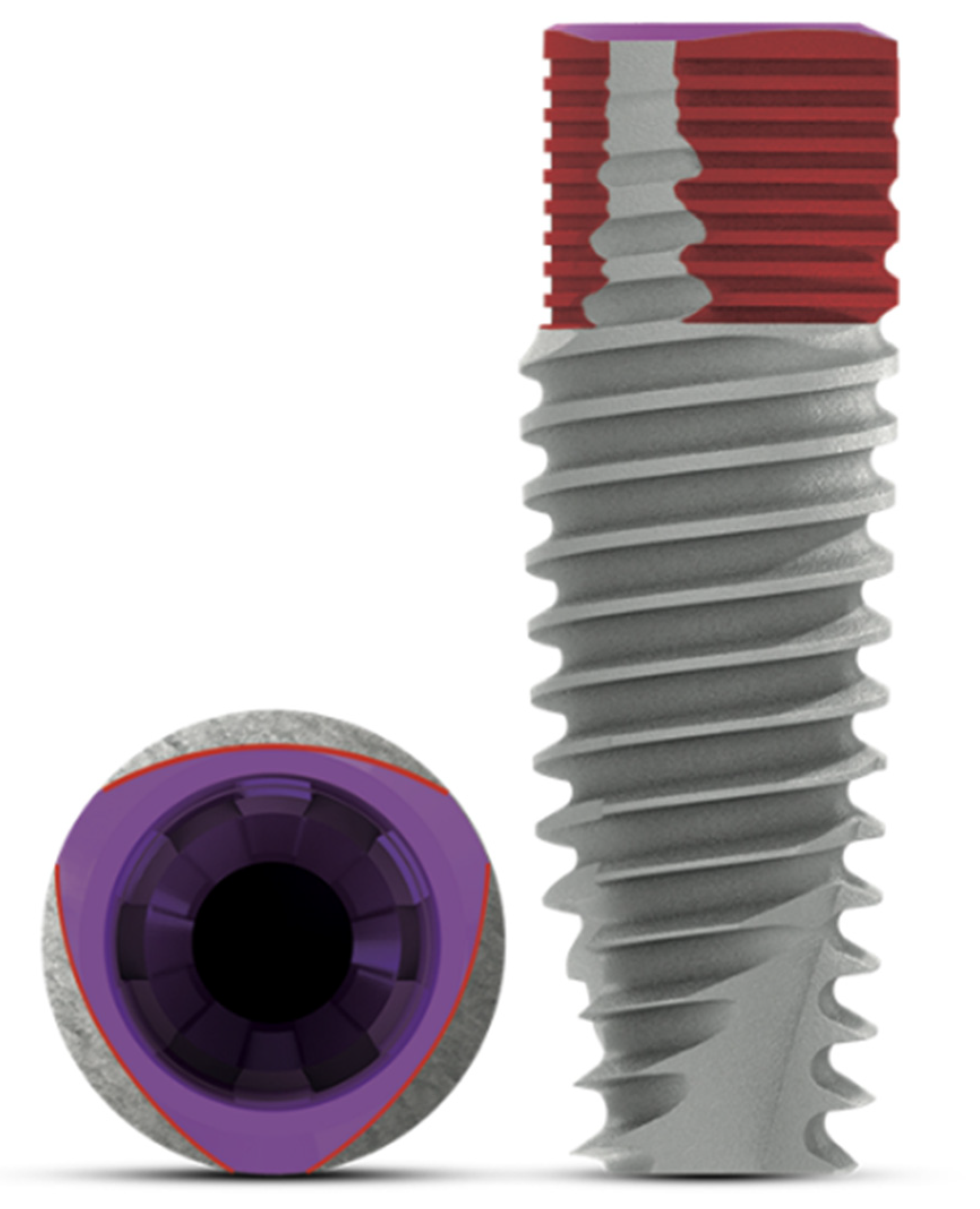 Dentistry 10 00113 g001