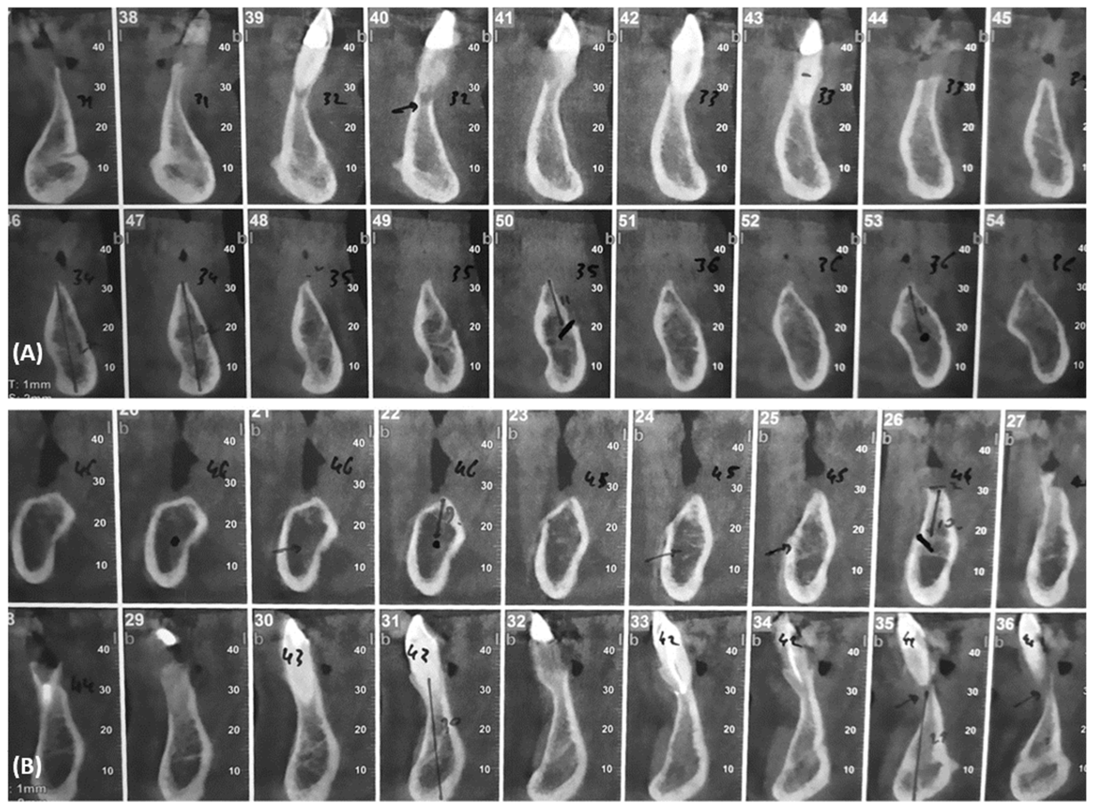 Dentistry 10 00116 g003