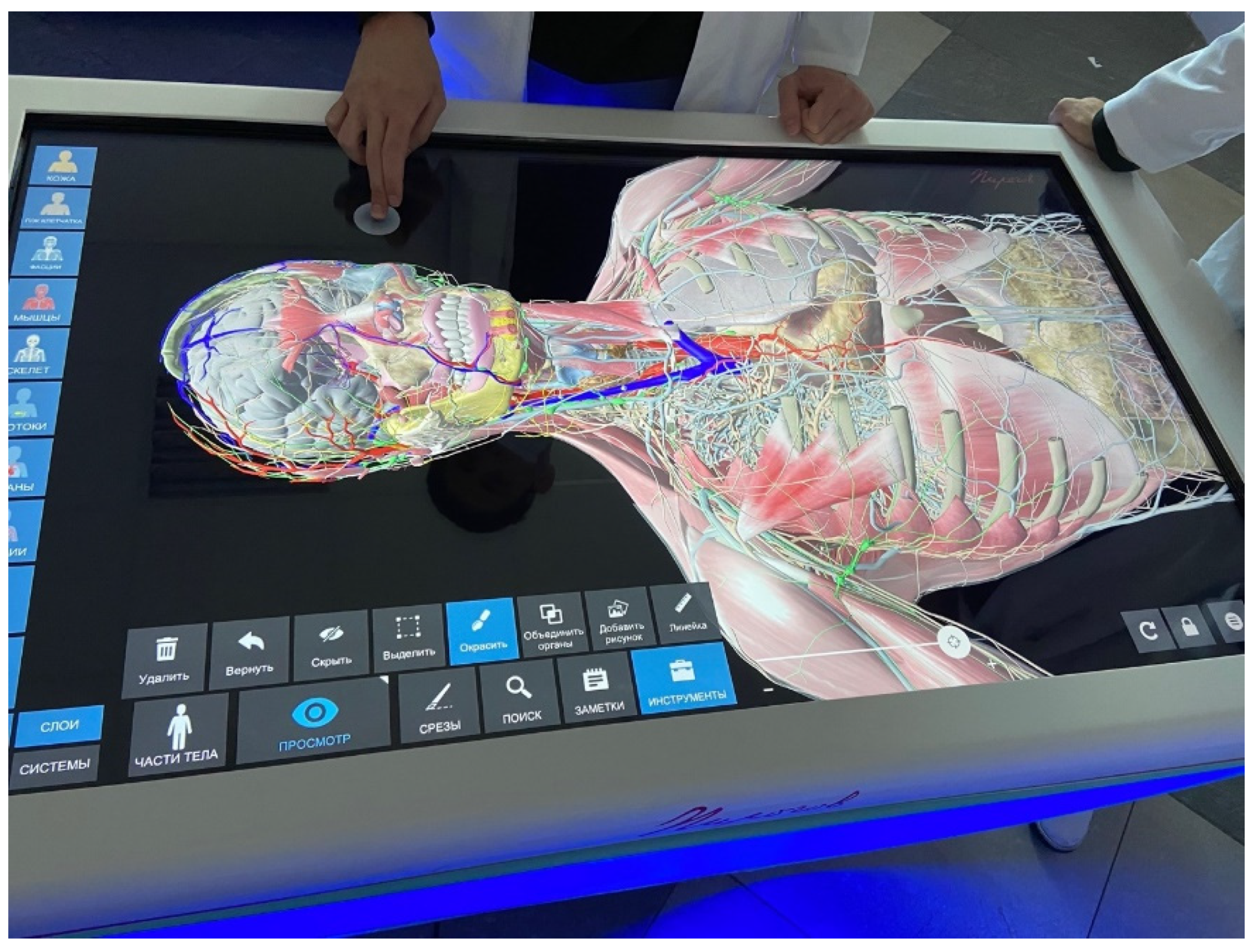 Dentistry 10 00124 g001