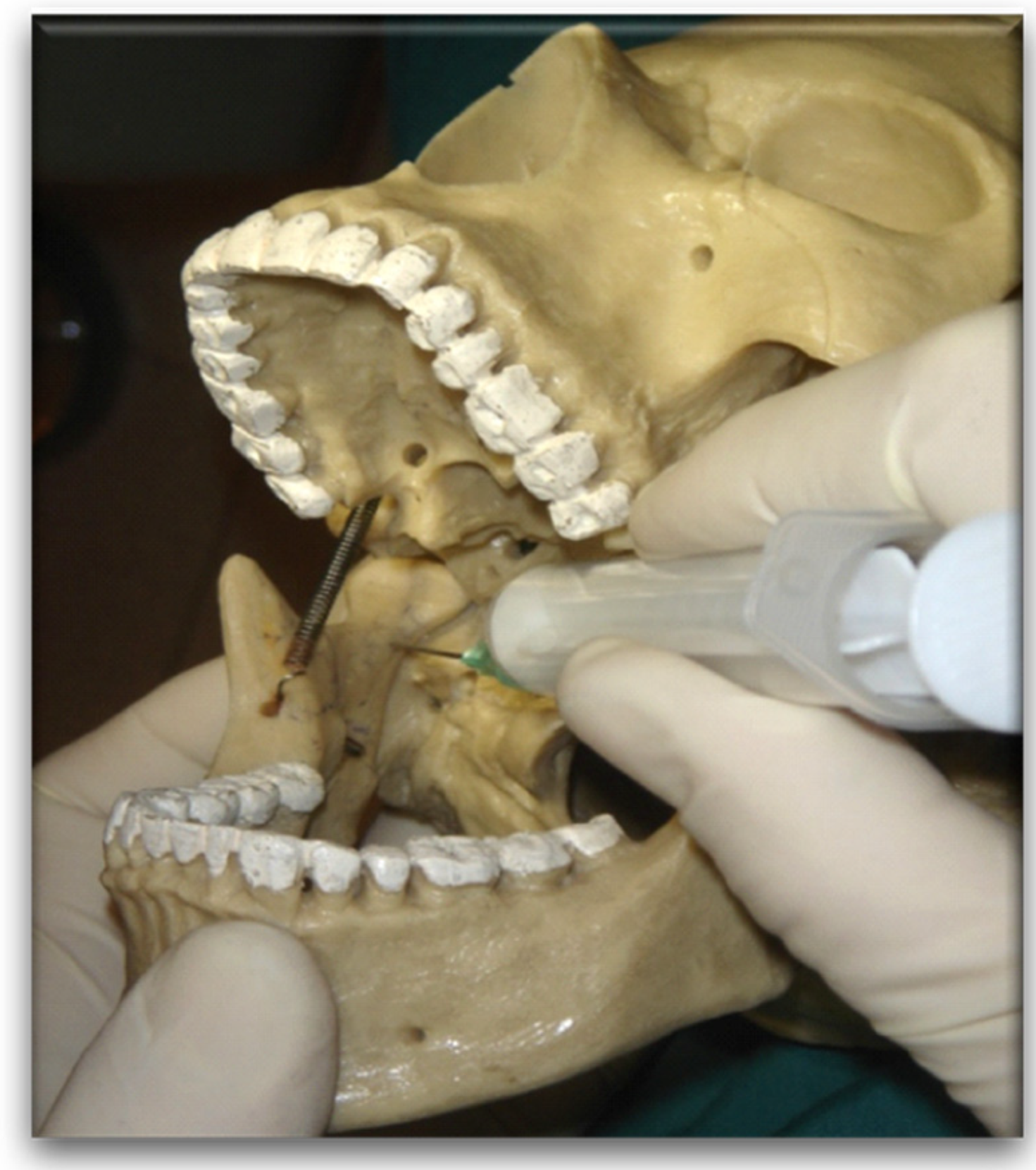 Dentistry 10 00124 g003