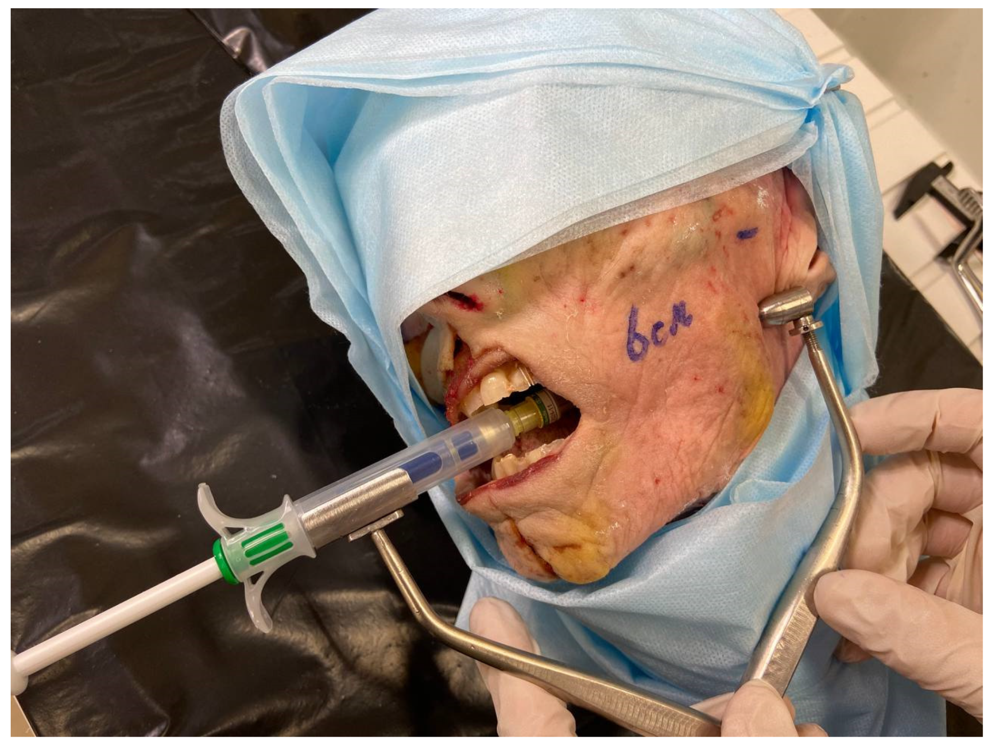 Dentistry 10 00124 g005