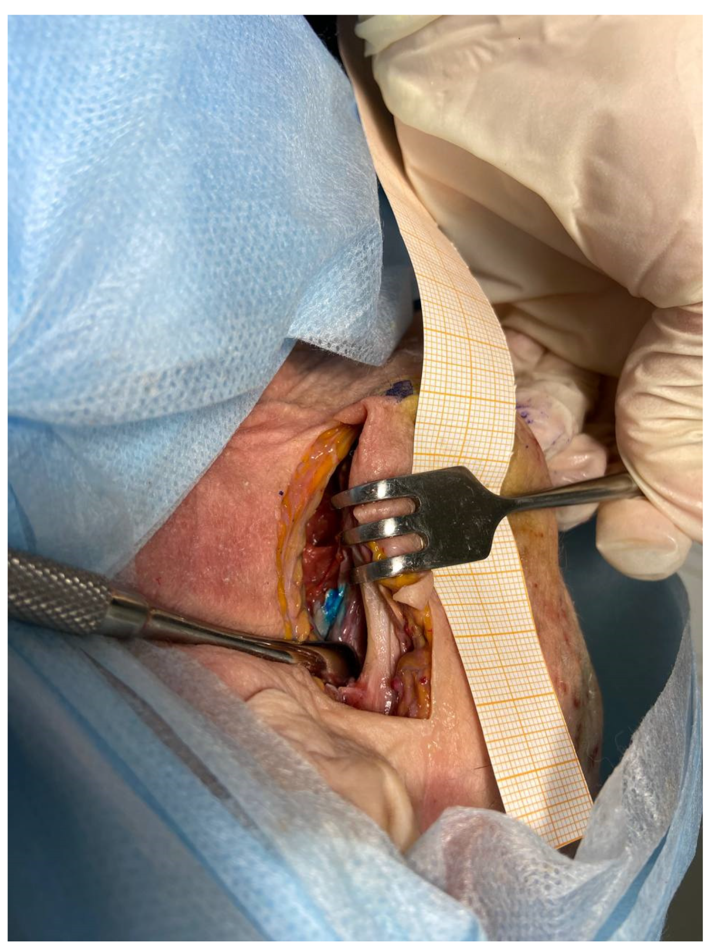 Dentistry 10 00124 g006