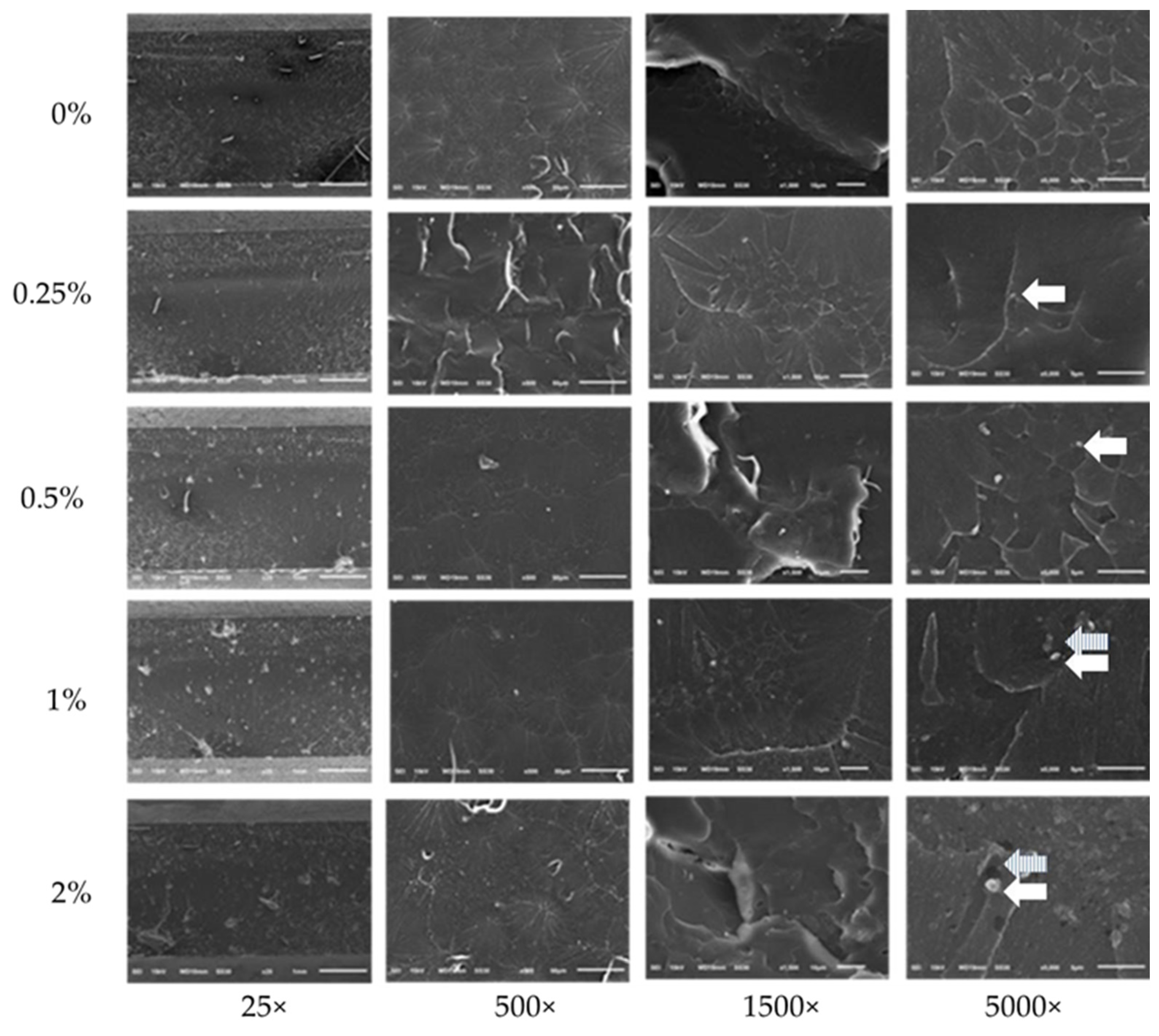 Dentistry 10 00129 g006