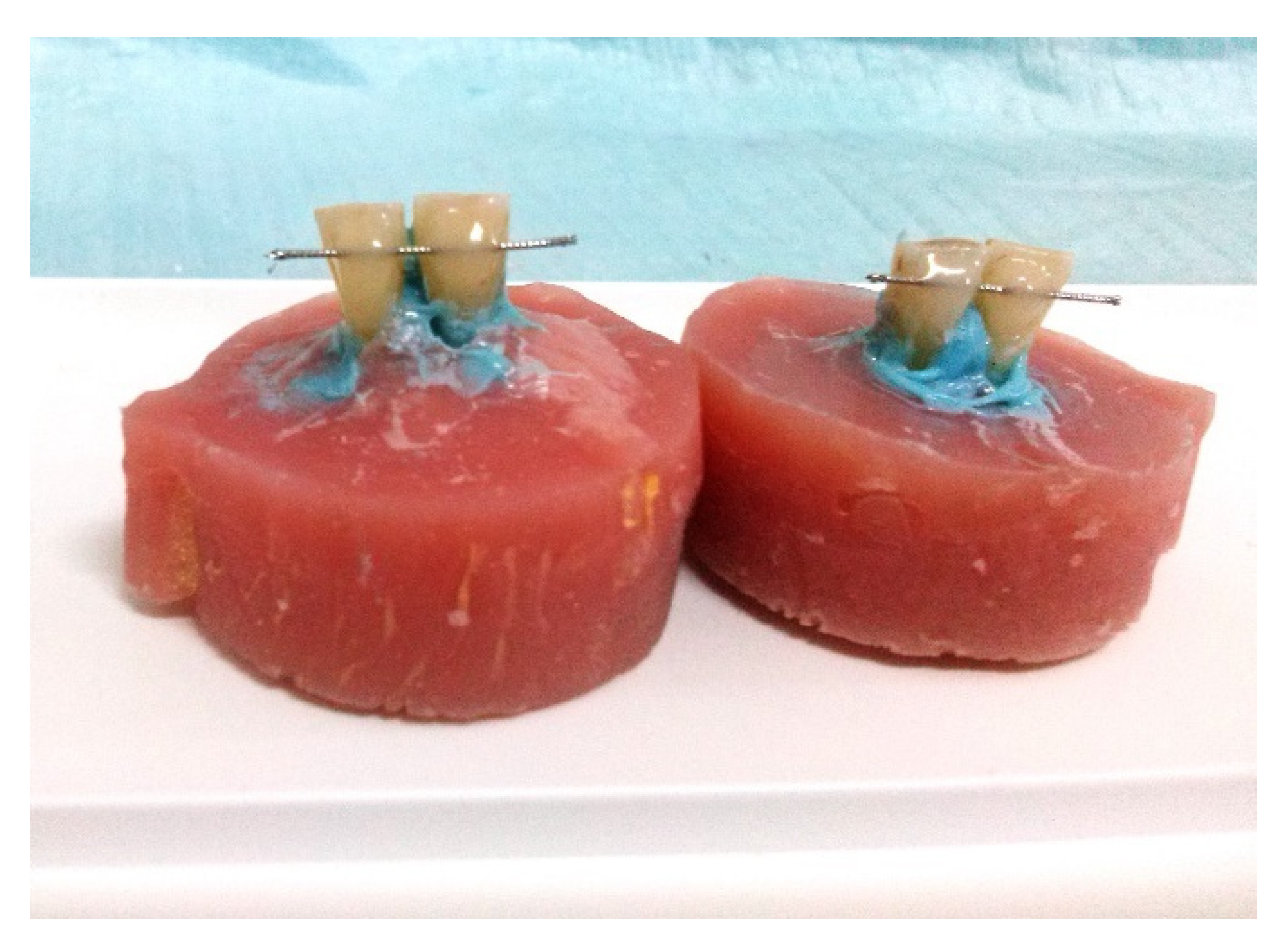 Dentistry 10 00141 g002