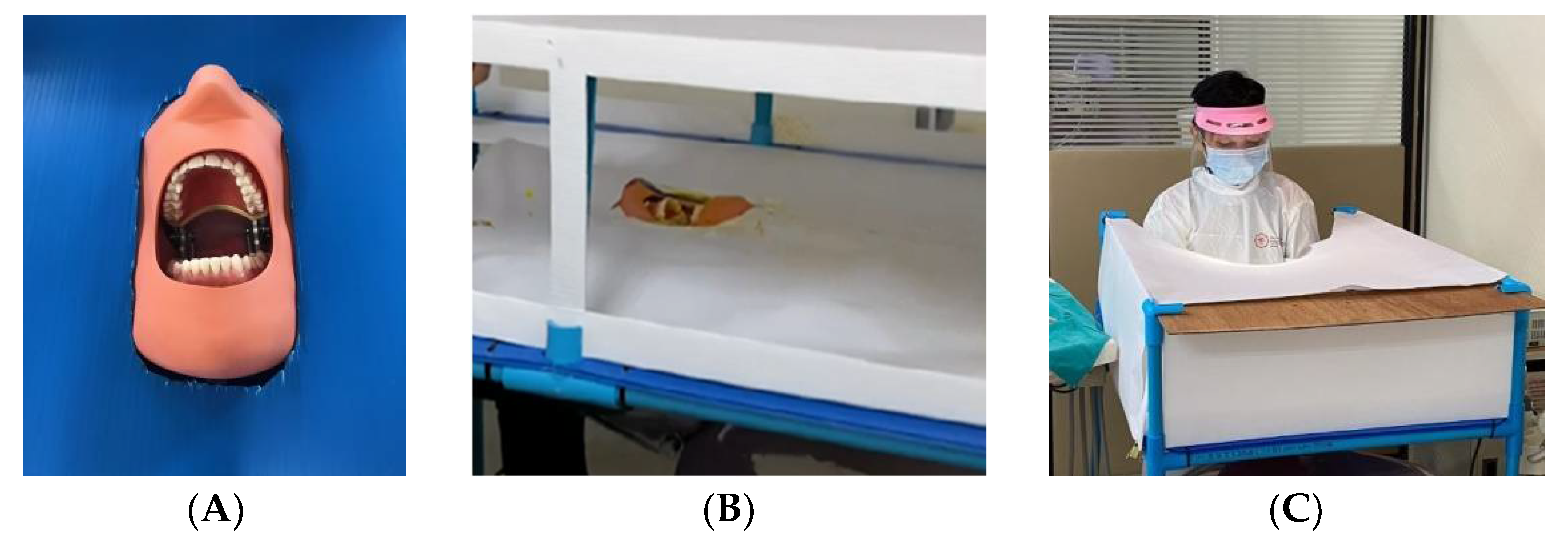 Dentistry 10 00142 g001