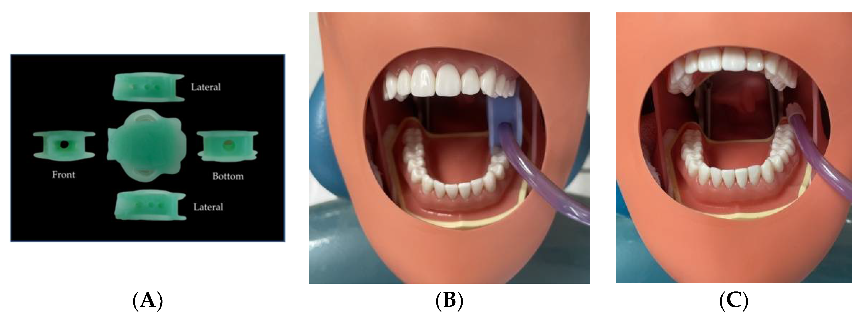 Dentistry 10 00142 g002