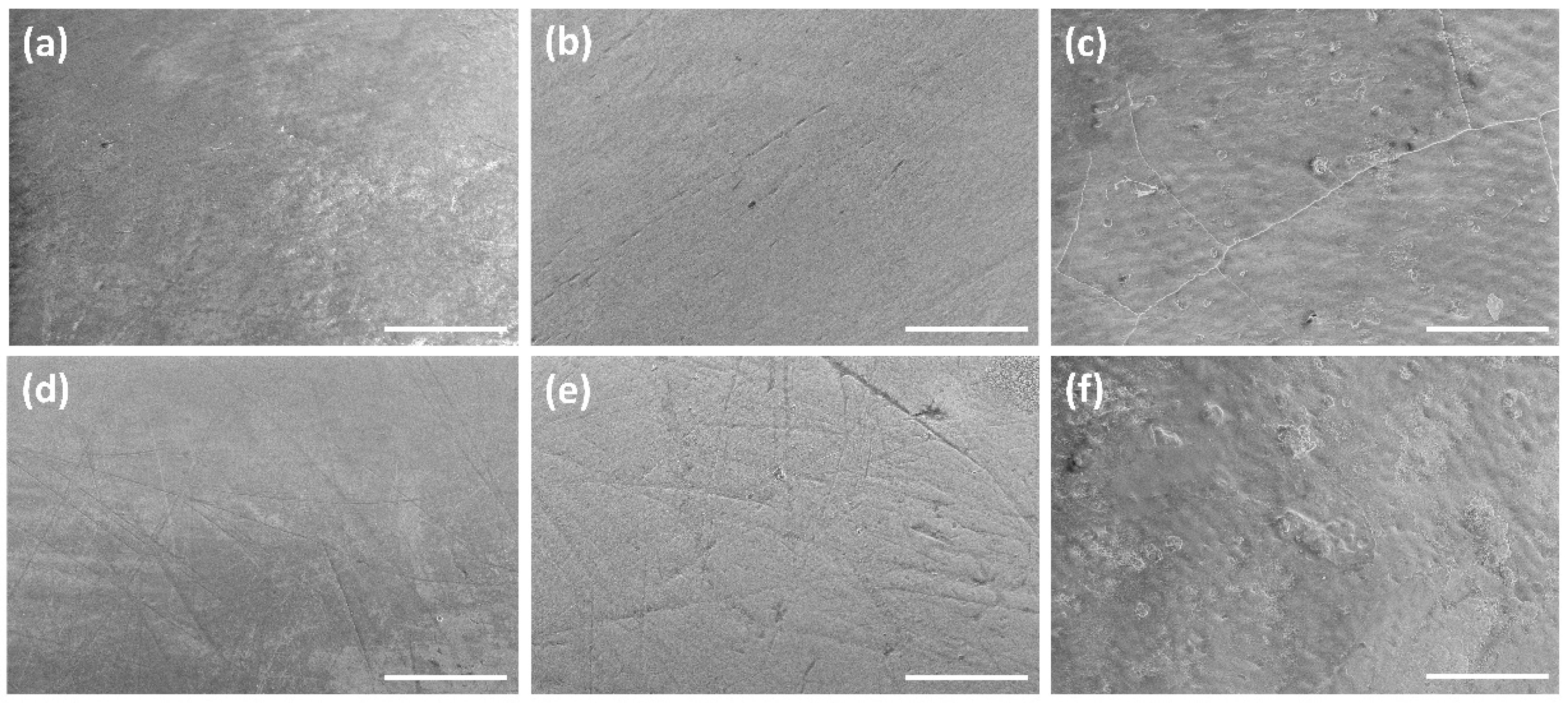 Dentistry 10 00153 g004 Dentistry 10 00153 g004