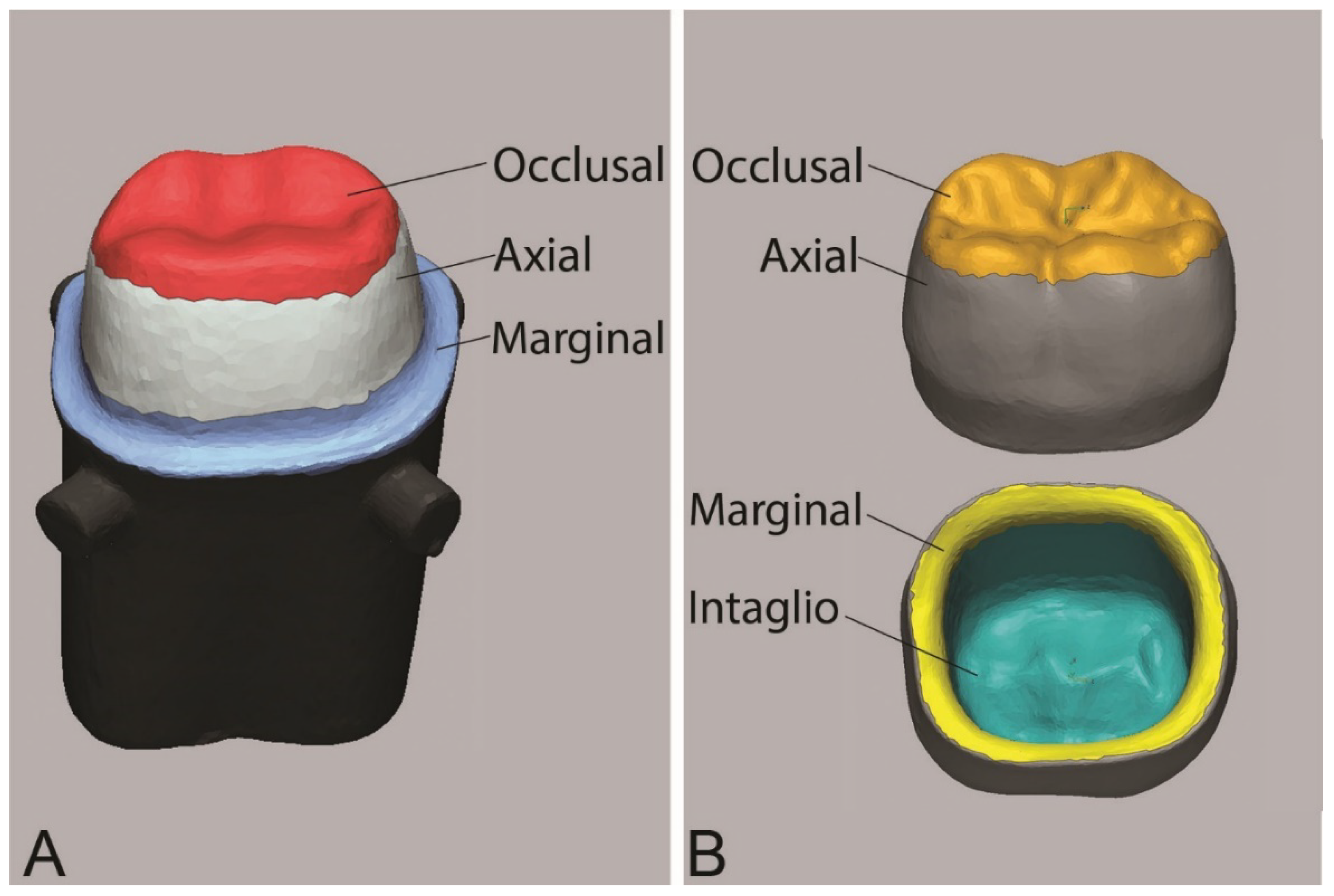 Dentistry 10 00215 g001
