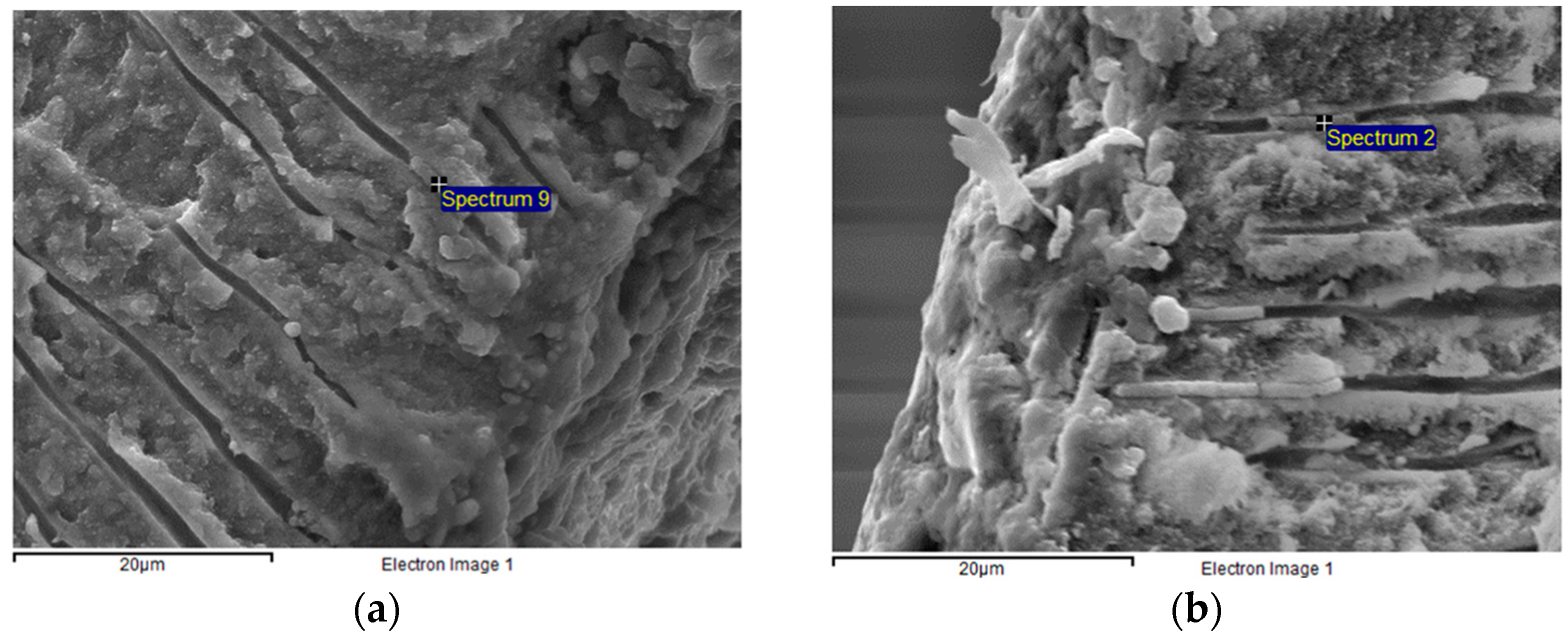 Dentistry 11 00019 g007 Dentistry 11 00019 g007