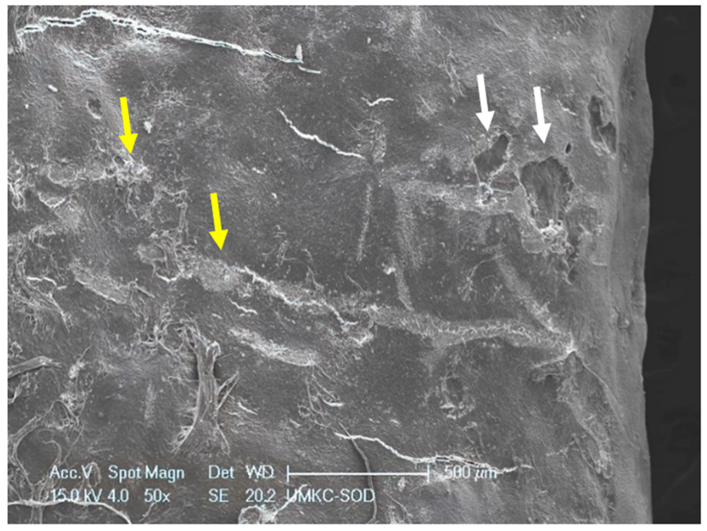 Dentistry 11 00022 g001 Dentistry 11 00022 g001