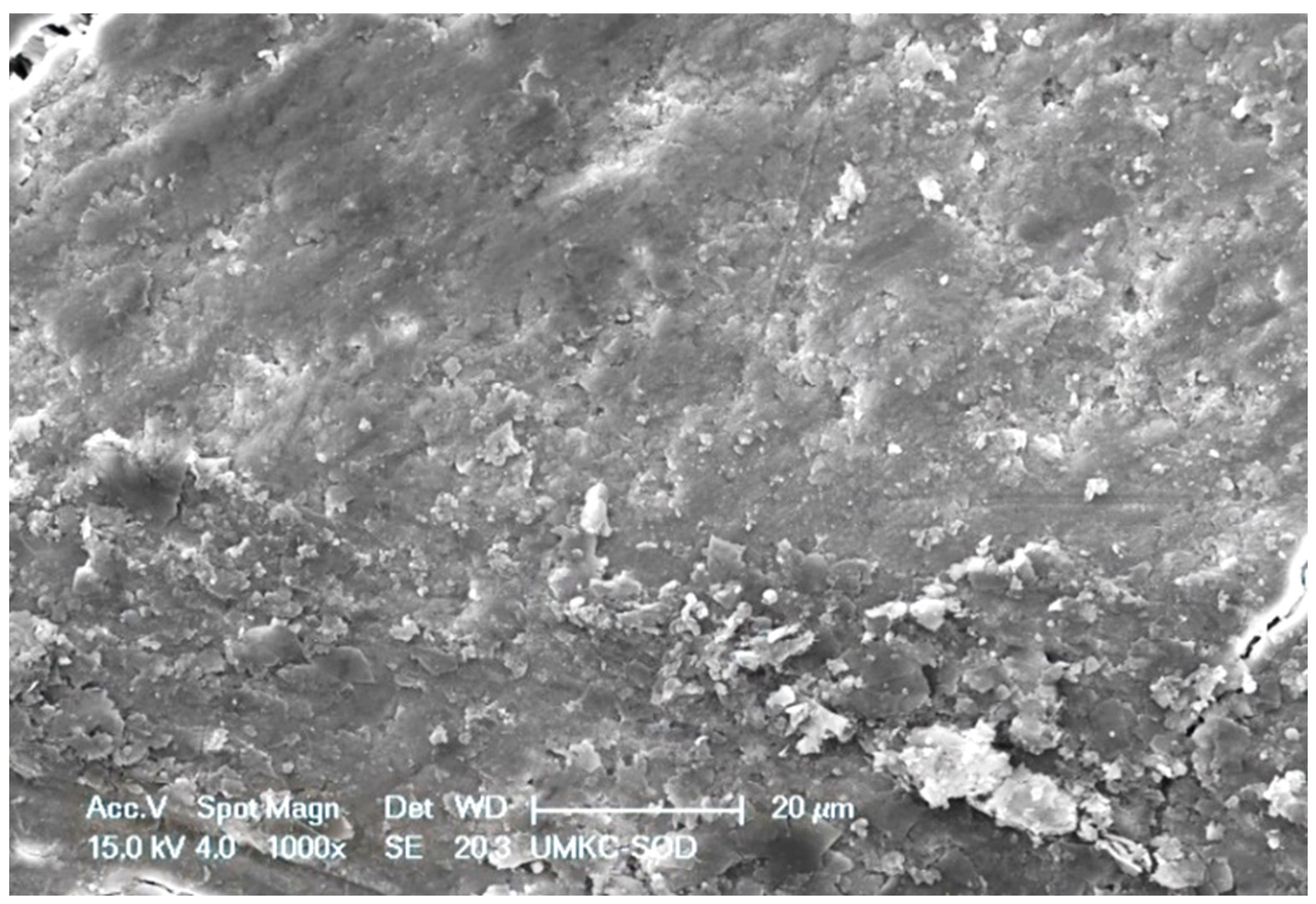 Dentistry 11 00022 g004 Dentistry 11 00022 g004