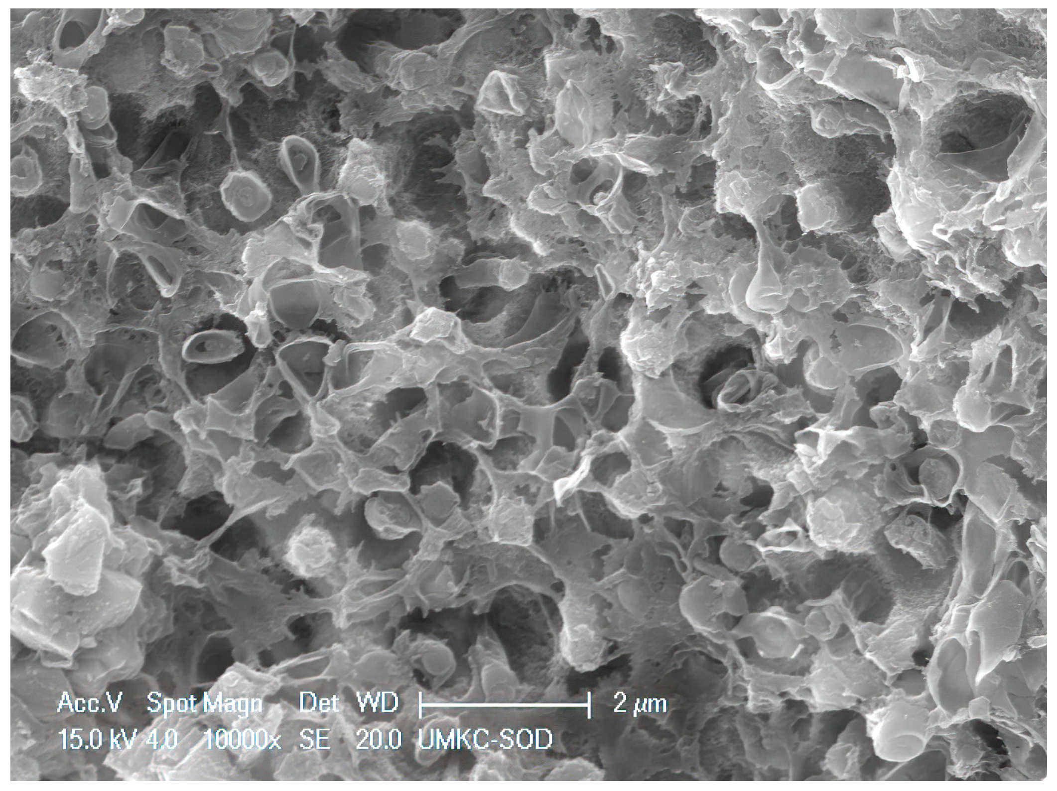 Dentistry 11 00022 g006 Dentistry 11 00022 g006