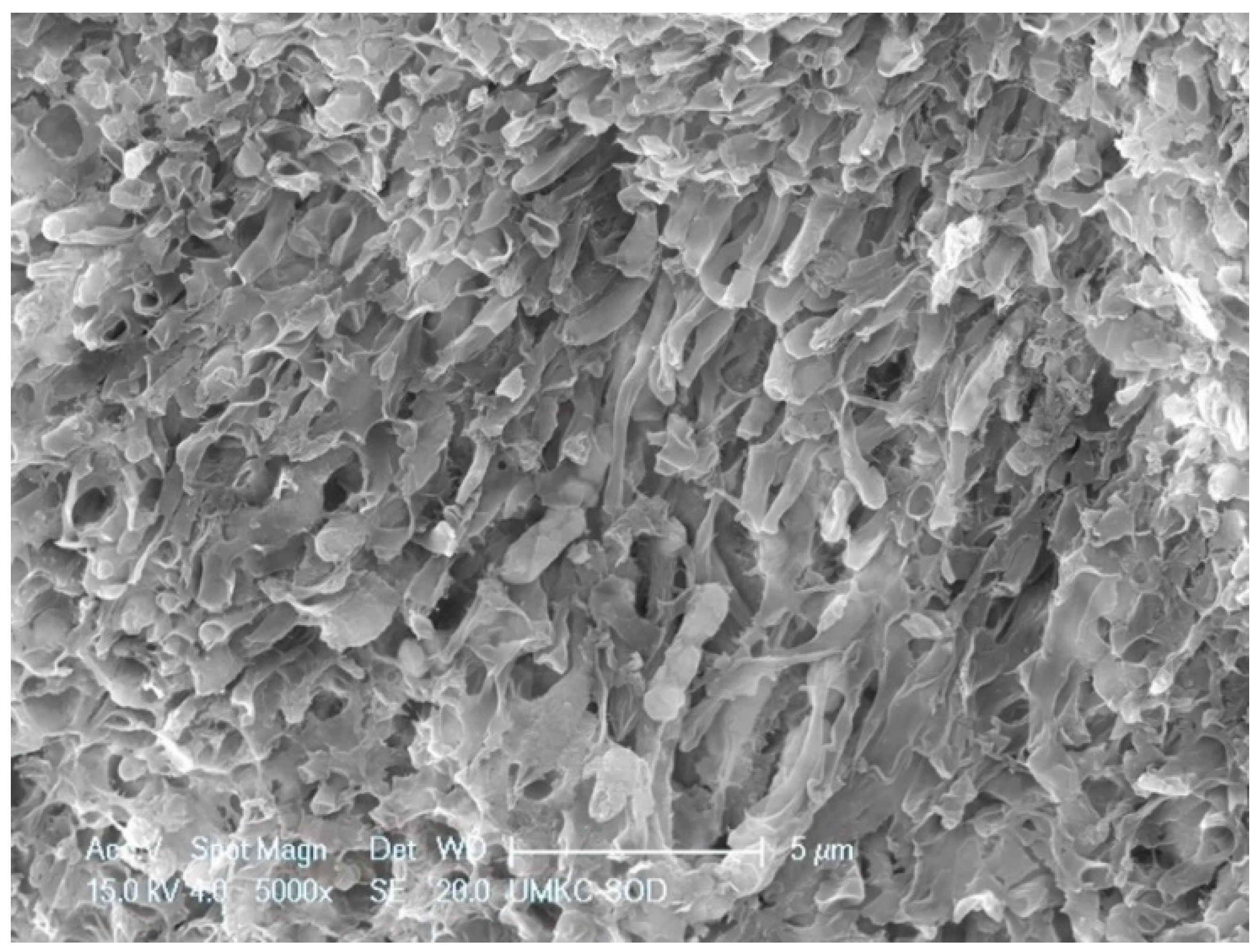 Dentistry 11 00022 g007 Dentistry 11 00022 g007