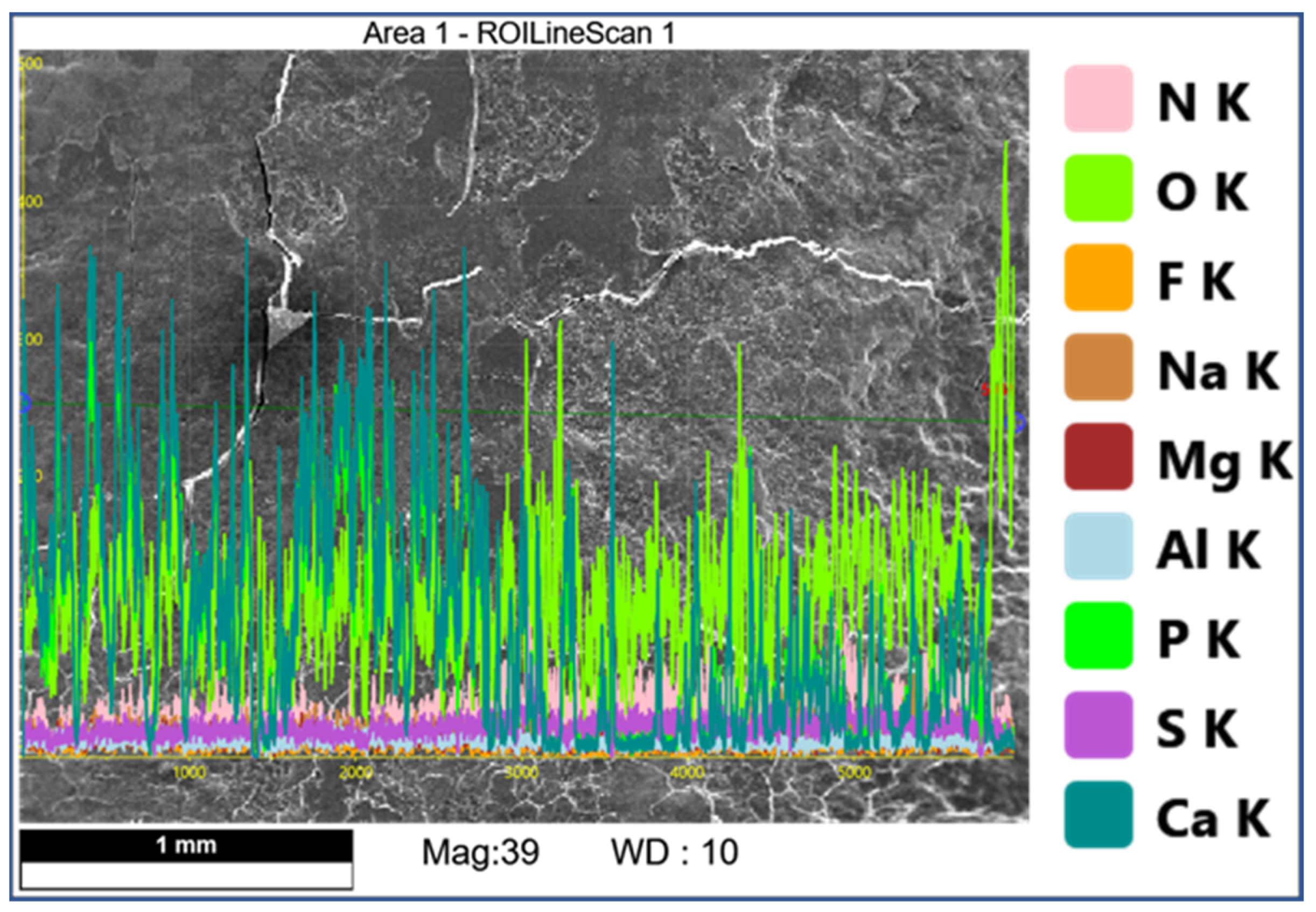 Dentistry 11 00022 g009 Dentistry 11 00022 g009