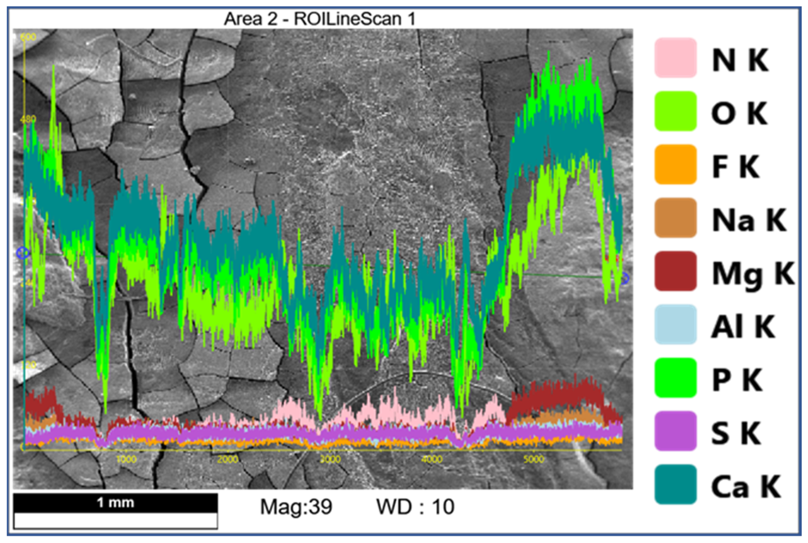 Dentistry 11 00022 g011 Dentistry 11 00022 g011