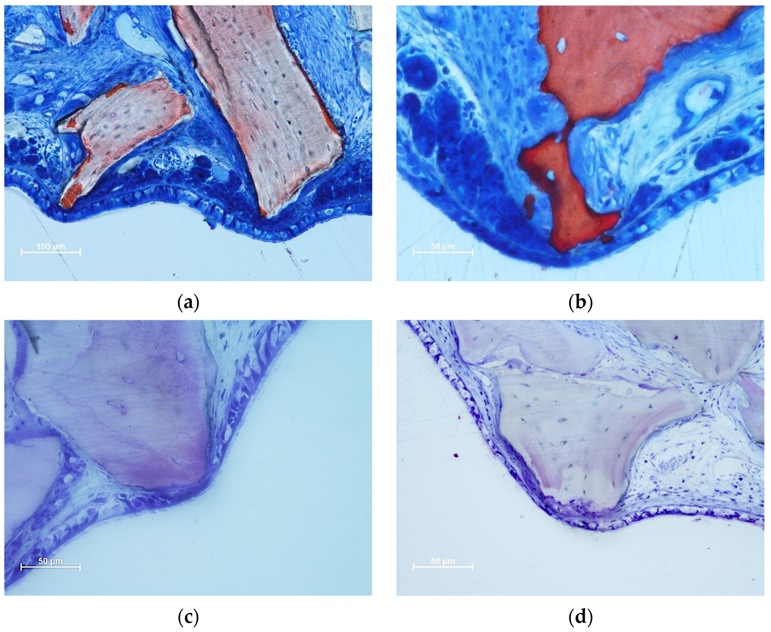 Dentistry 11 00031 g003
