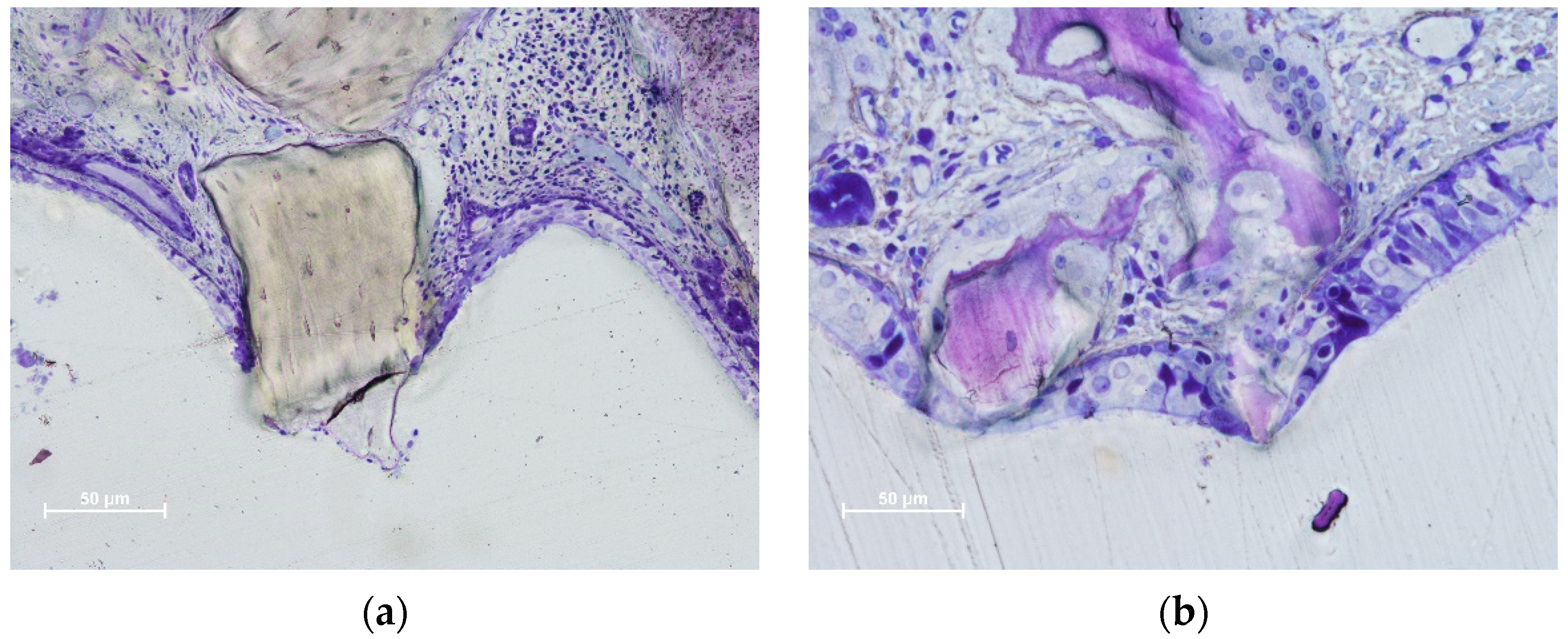 Dentistry 11 00031 g004a