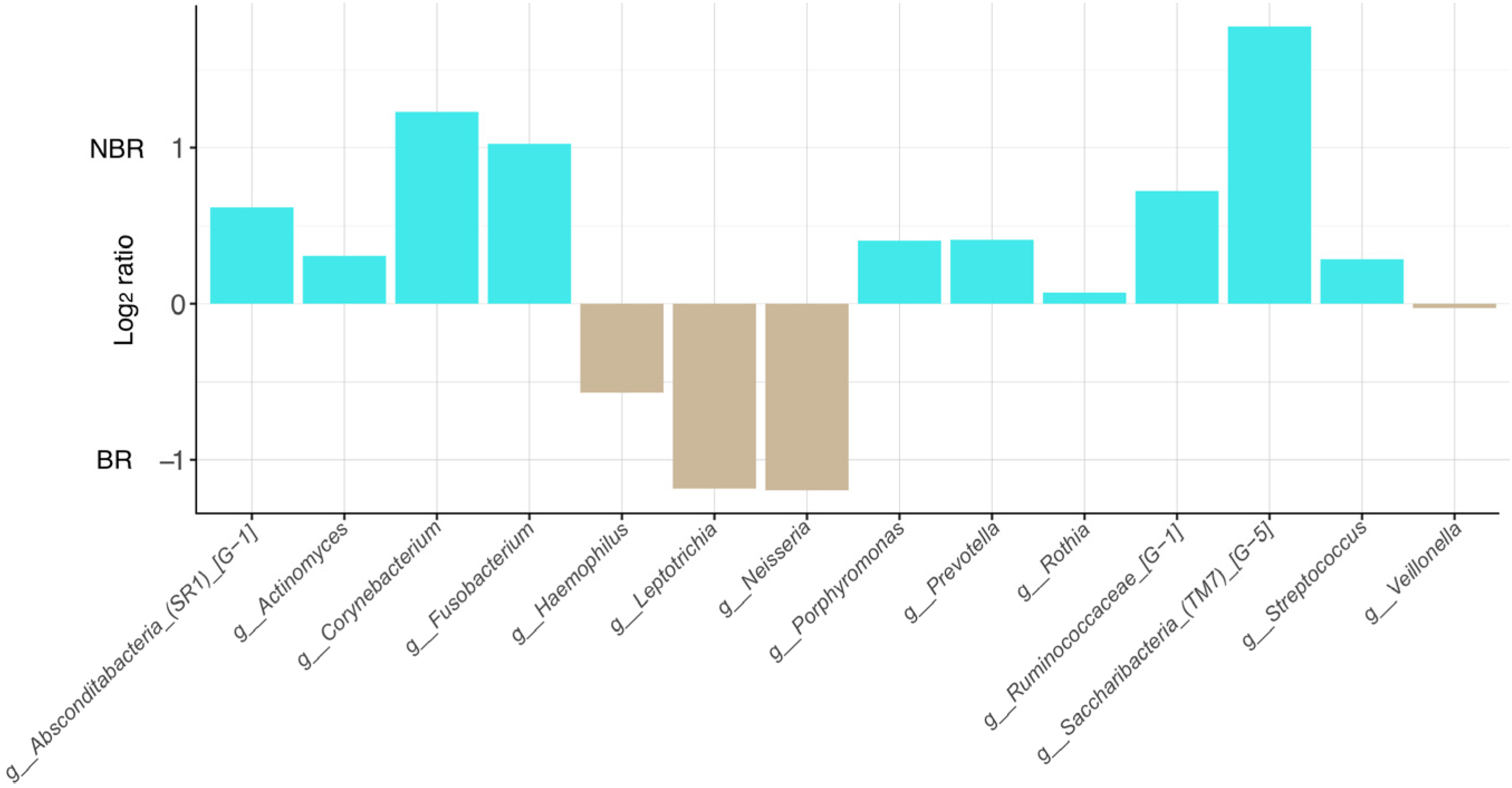 Dentistry 11 00044 g006