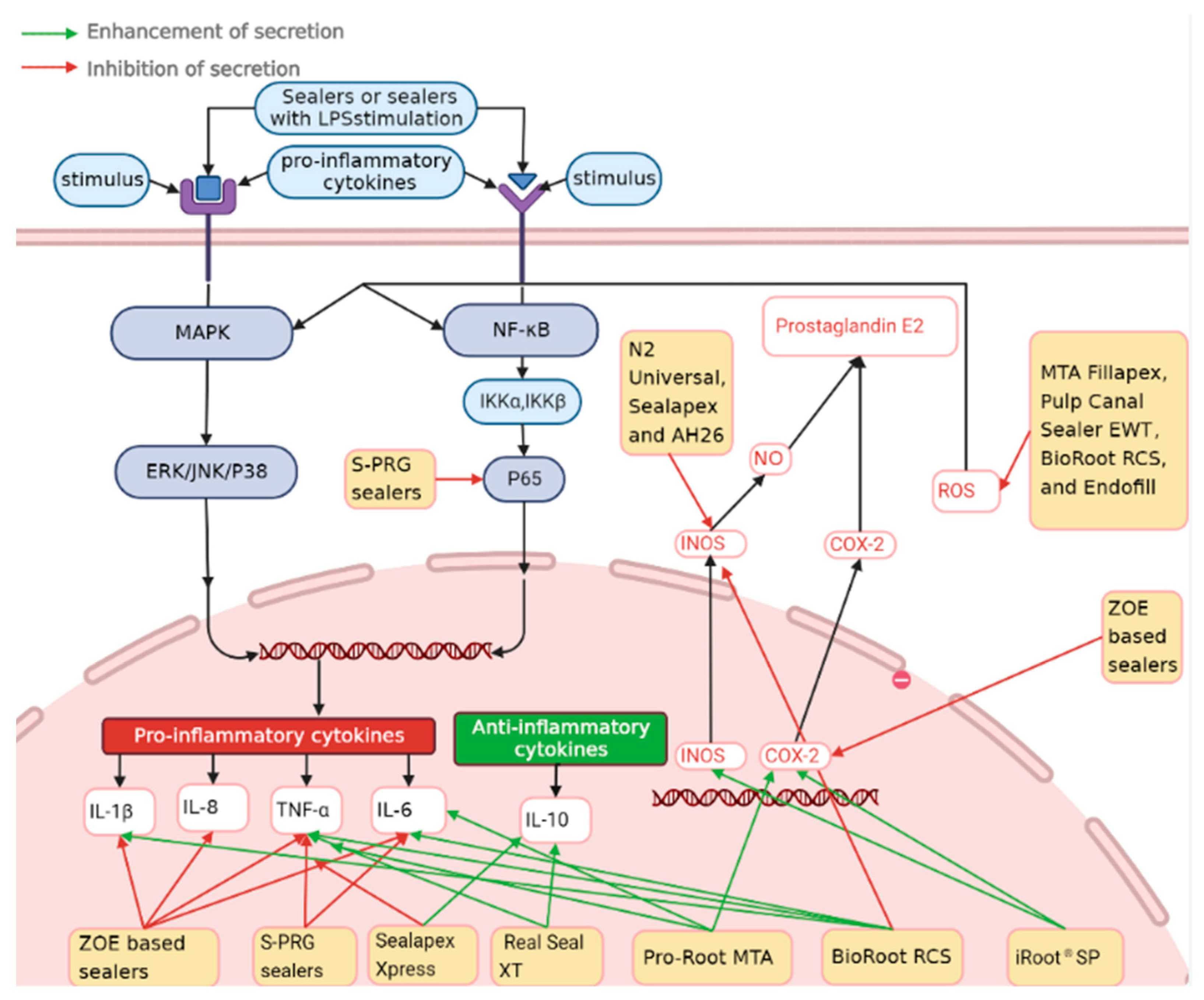 Dentistry 11 00054 g003