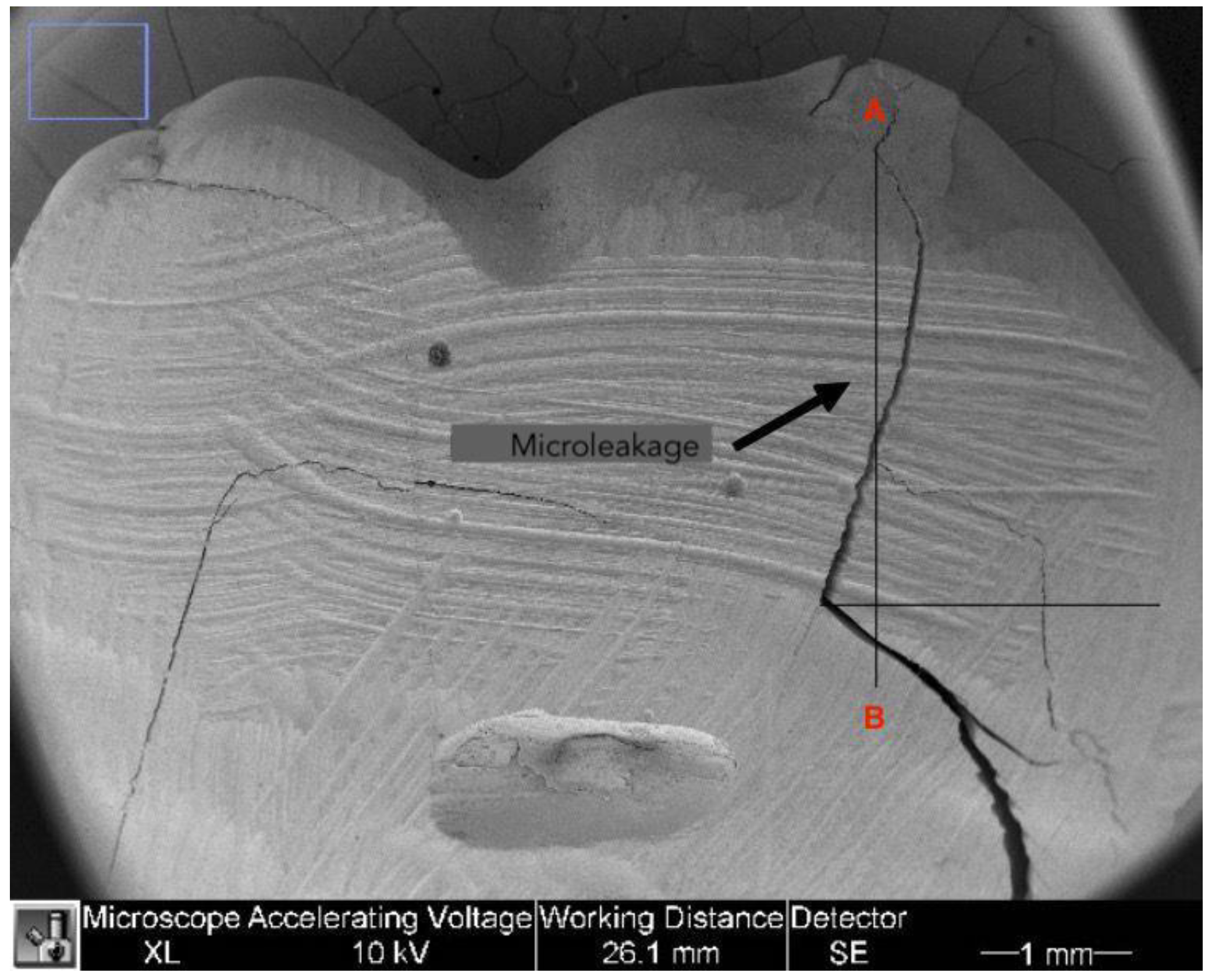 Dentistry 11 00077 g001 Dentistry 11 00077 g001