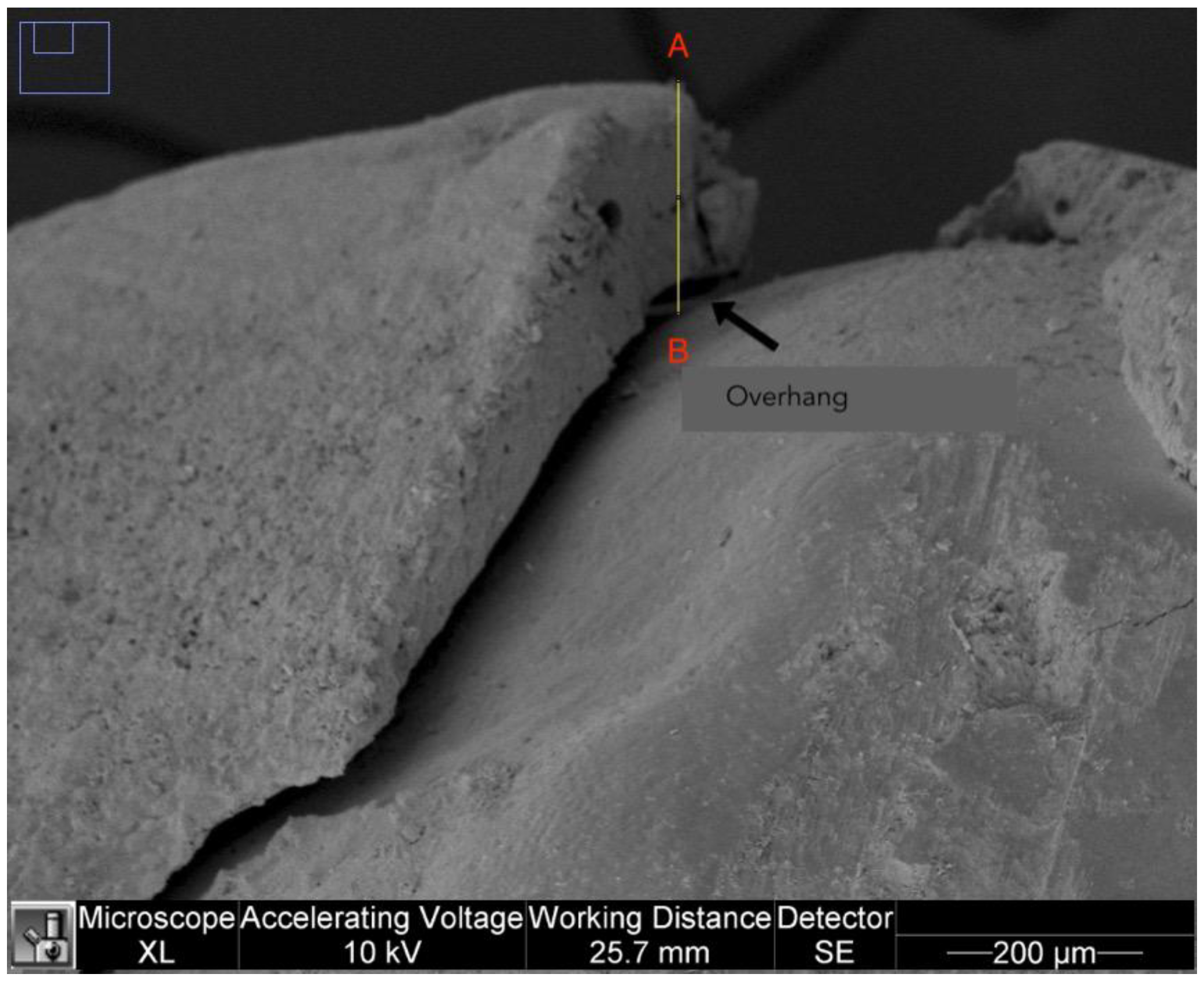 Dentistry 11 00077 g003 Dentistry 11 00077 g003