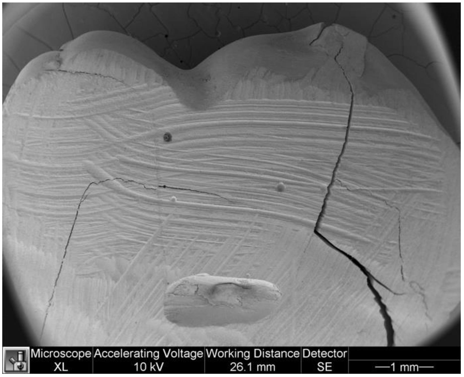 Dentistry 11 00077 g005 Dentistry 11 00077 g005