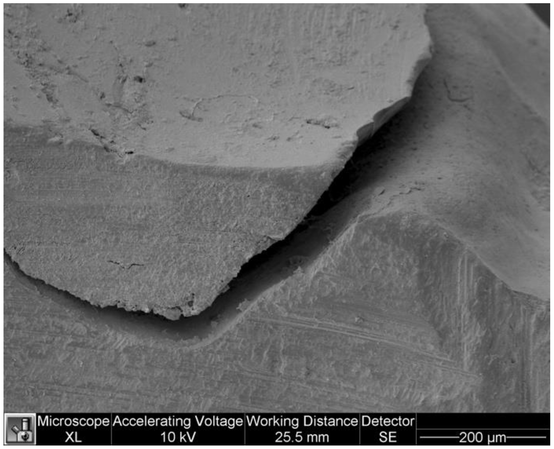 Dentistry 11 00077 g007 Dentistry 11 00077 g007