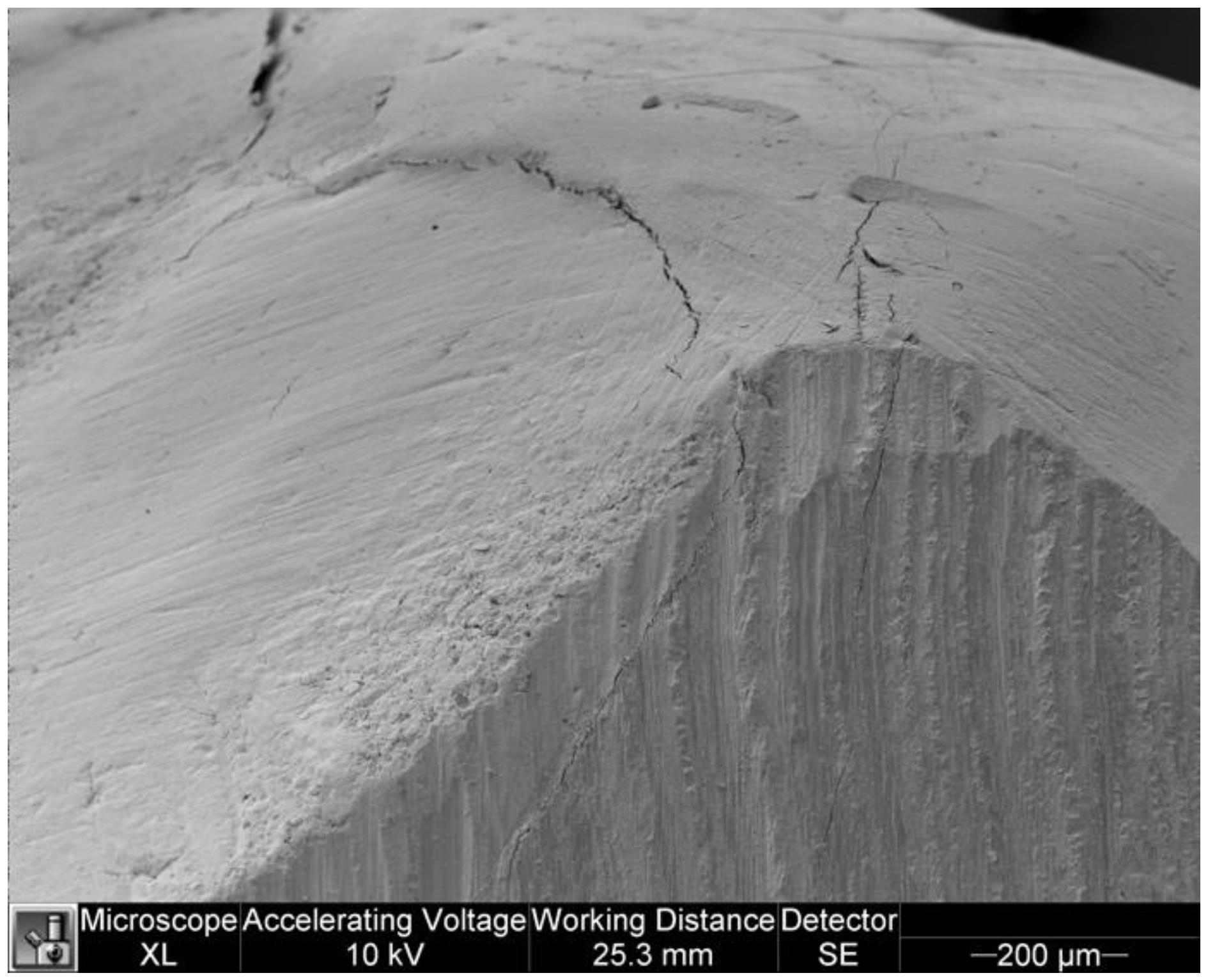 Dentistry 11 00077 g008 Dentistry 11 00077 g008