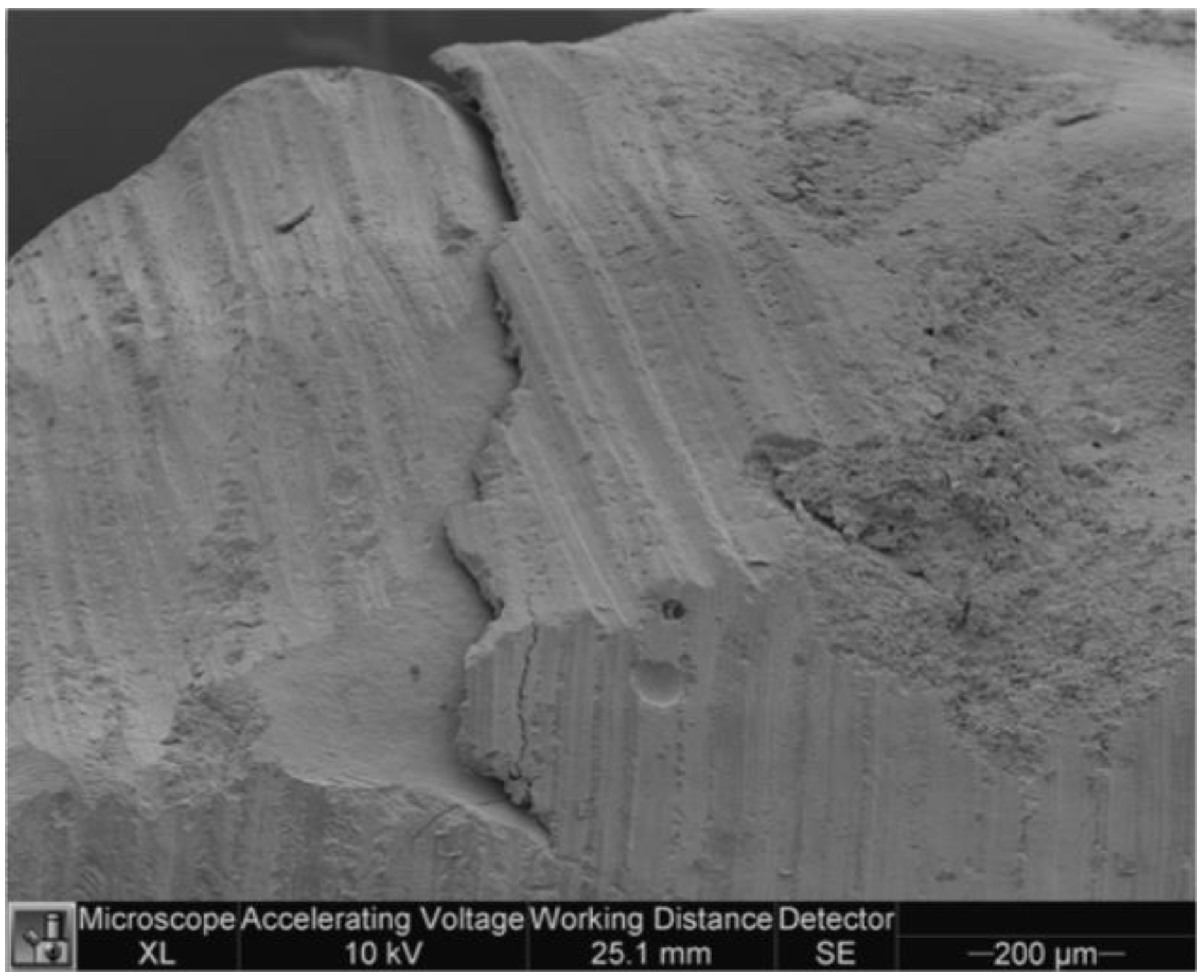 Dentistry 11 00077 g009 Dentistry 11 00077 g009