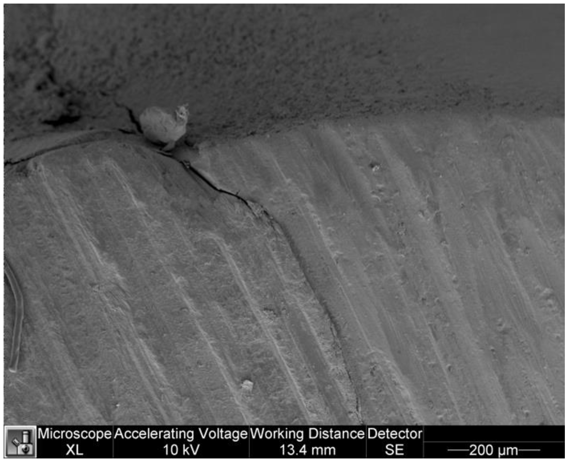 Dentistry 11 00077 g010 Dentistry 11 00077 g010