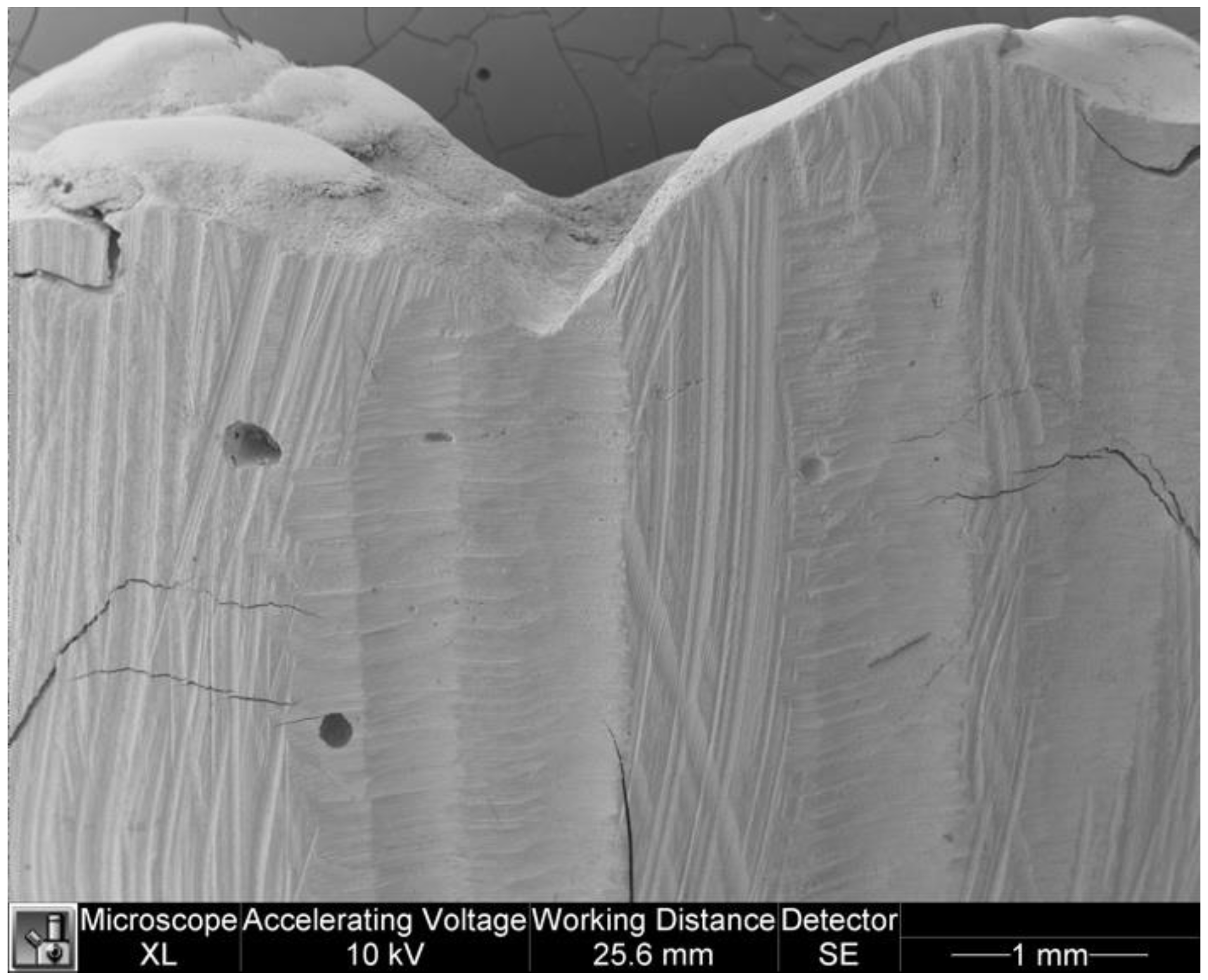 Dentistry 11 00077 g011 Dentistry 11 00077 g011