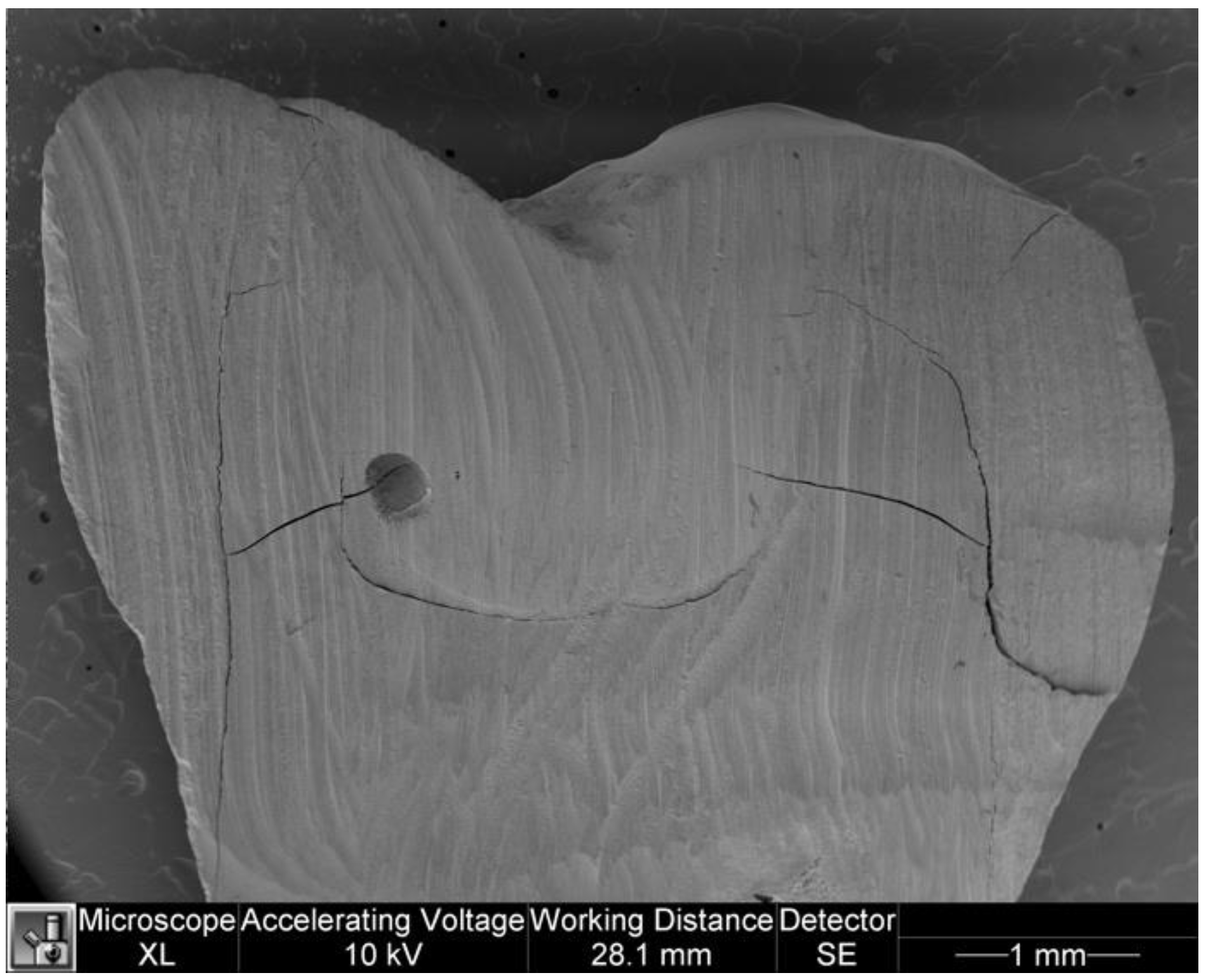 Dentistry 11 00077 g012 Dentistry 11 00077 g012