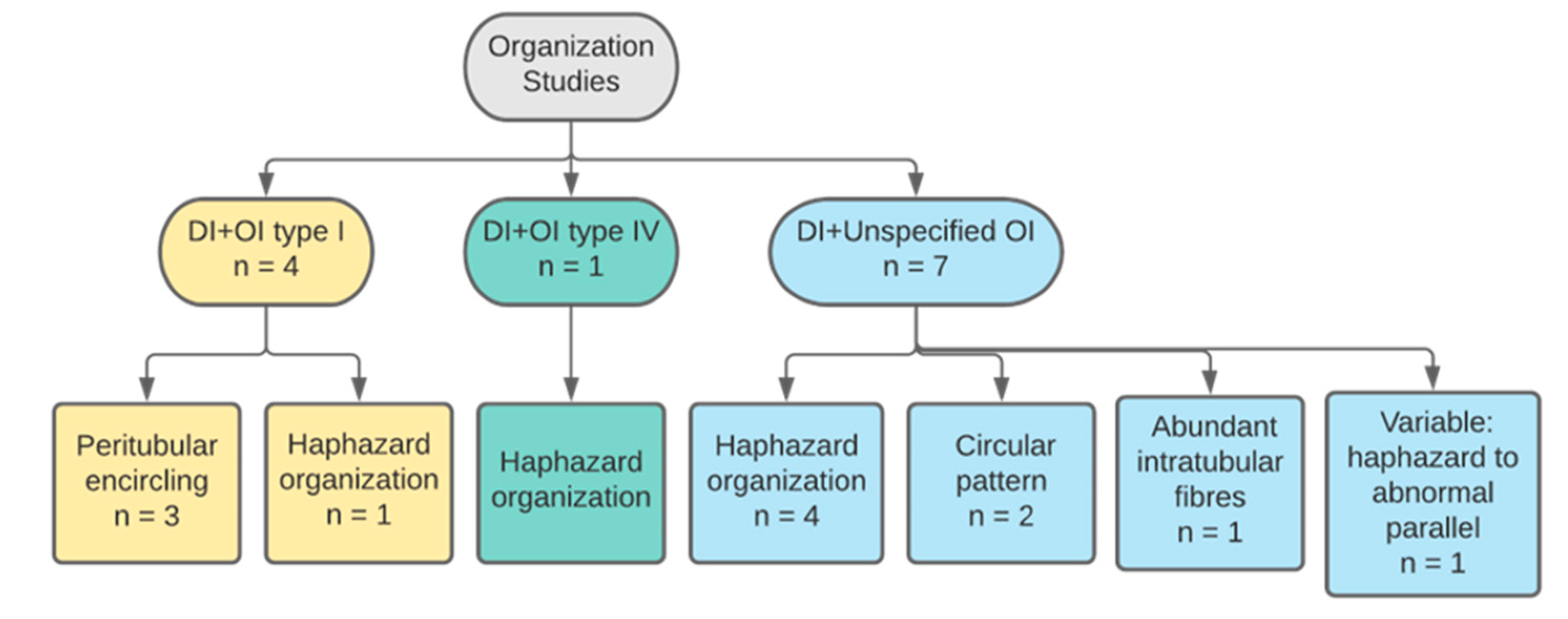 Dentistry 11 00095 g005