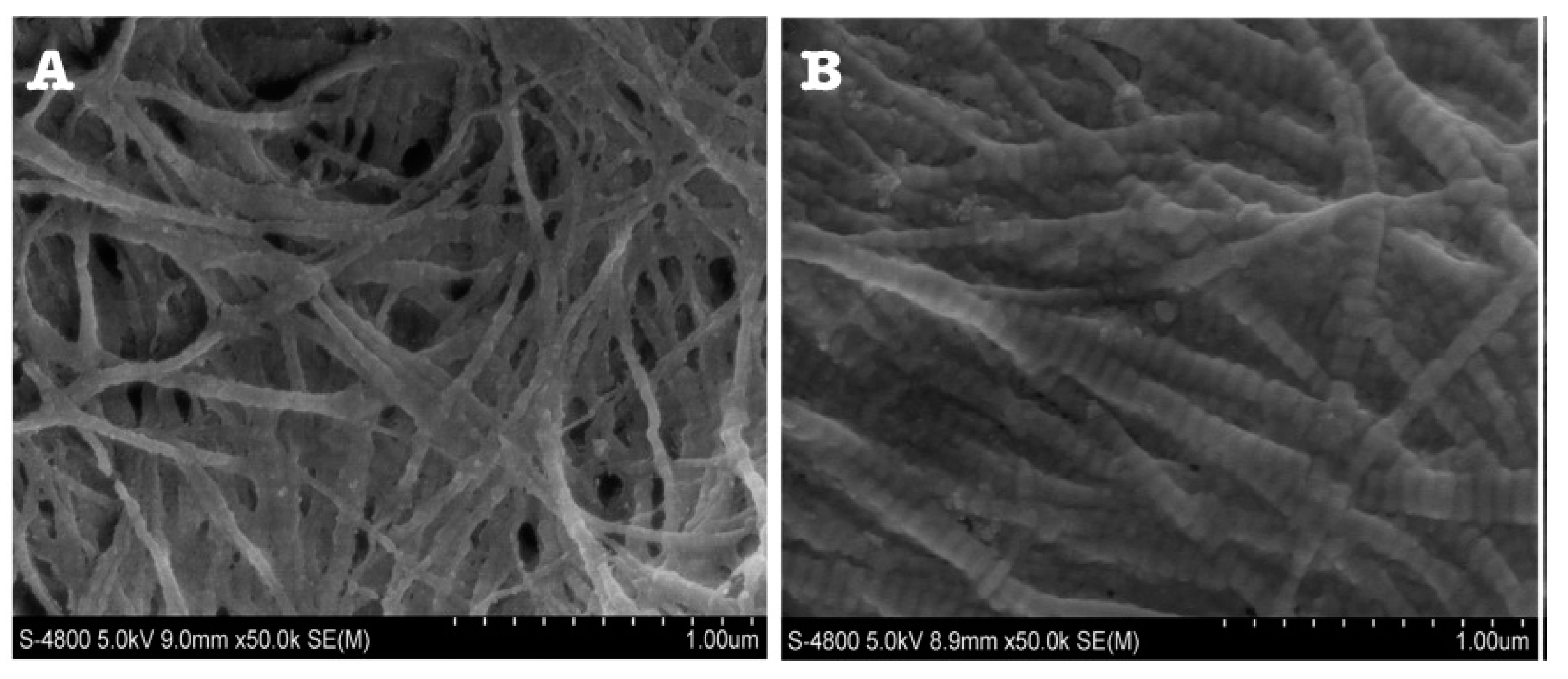 Dentistry 11 00095 g014