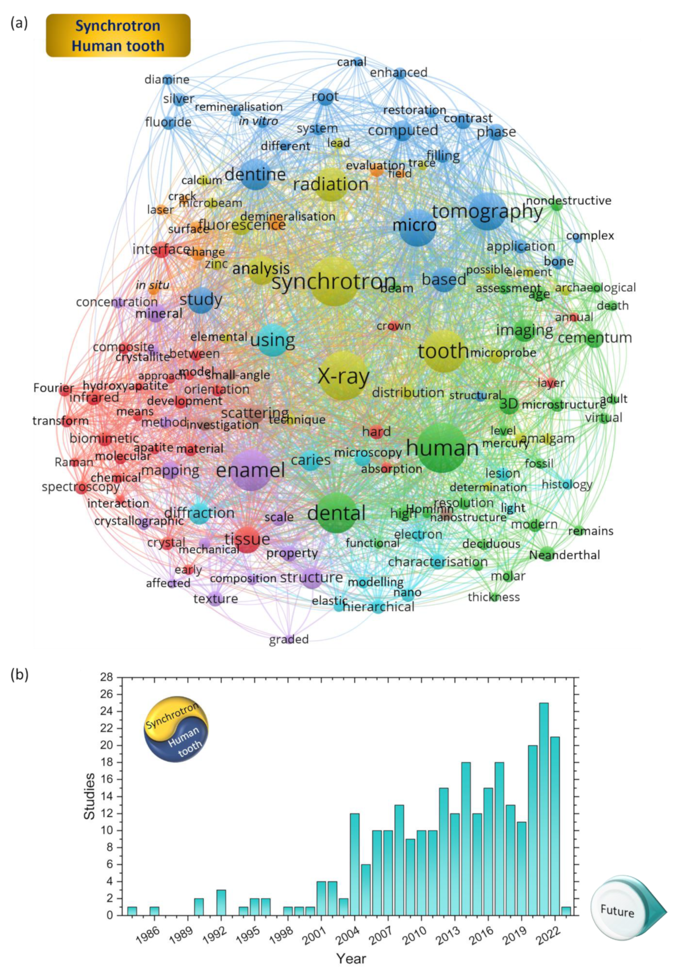 Dentistry 11 00098 g004