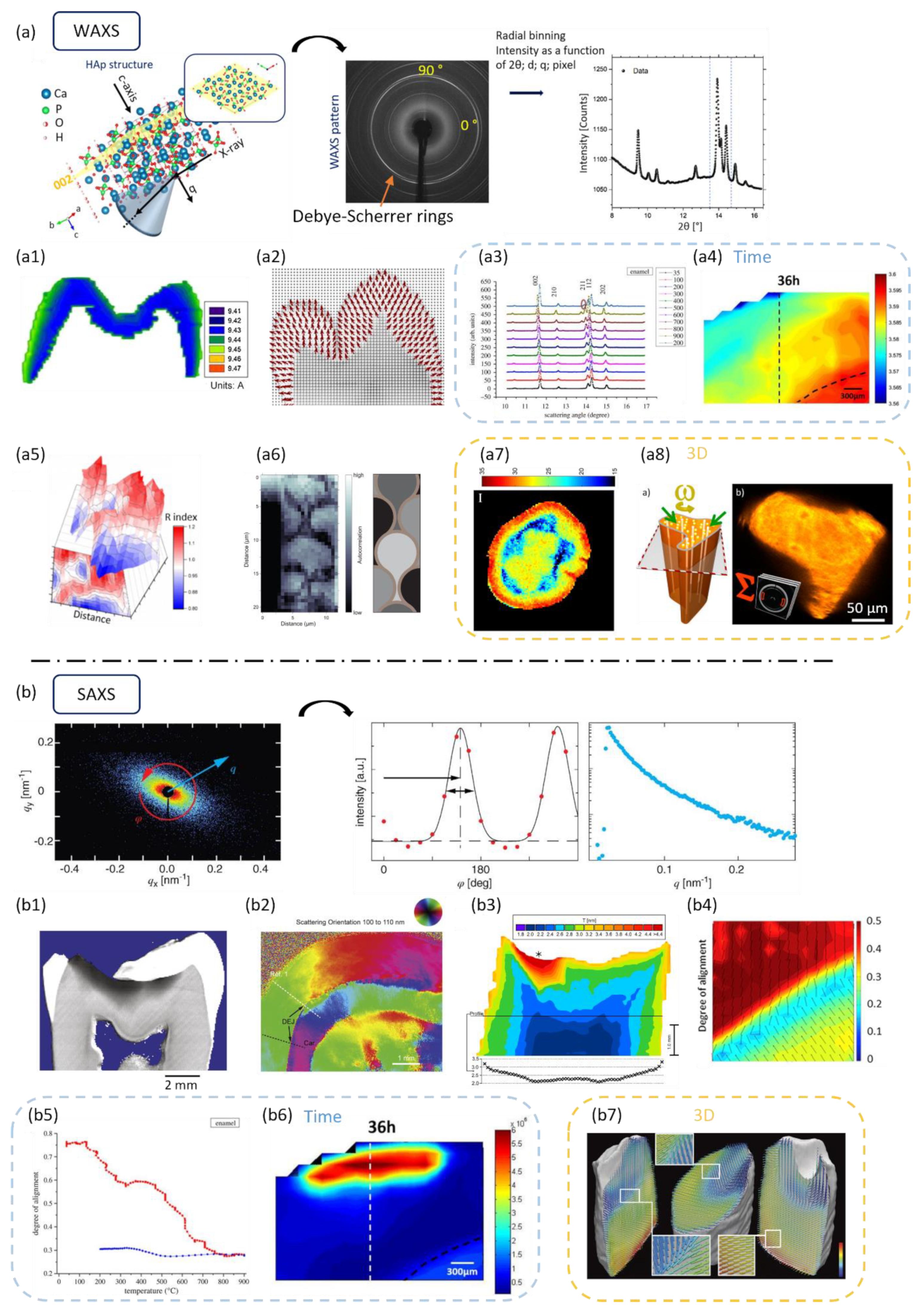 Dentistry 11 00098 g006
