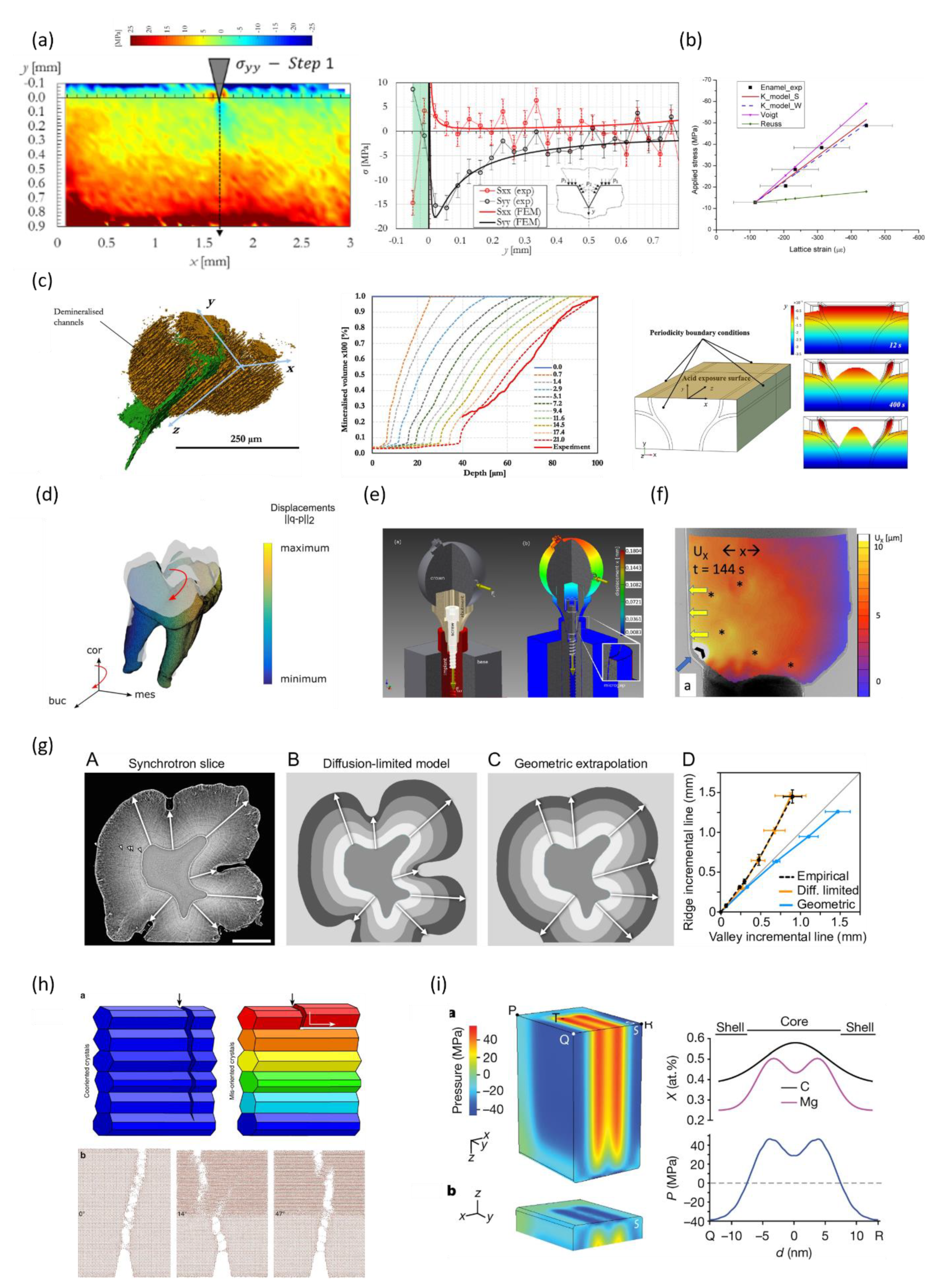 Dentistry 11 00098 g007