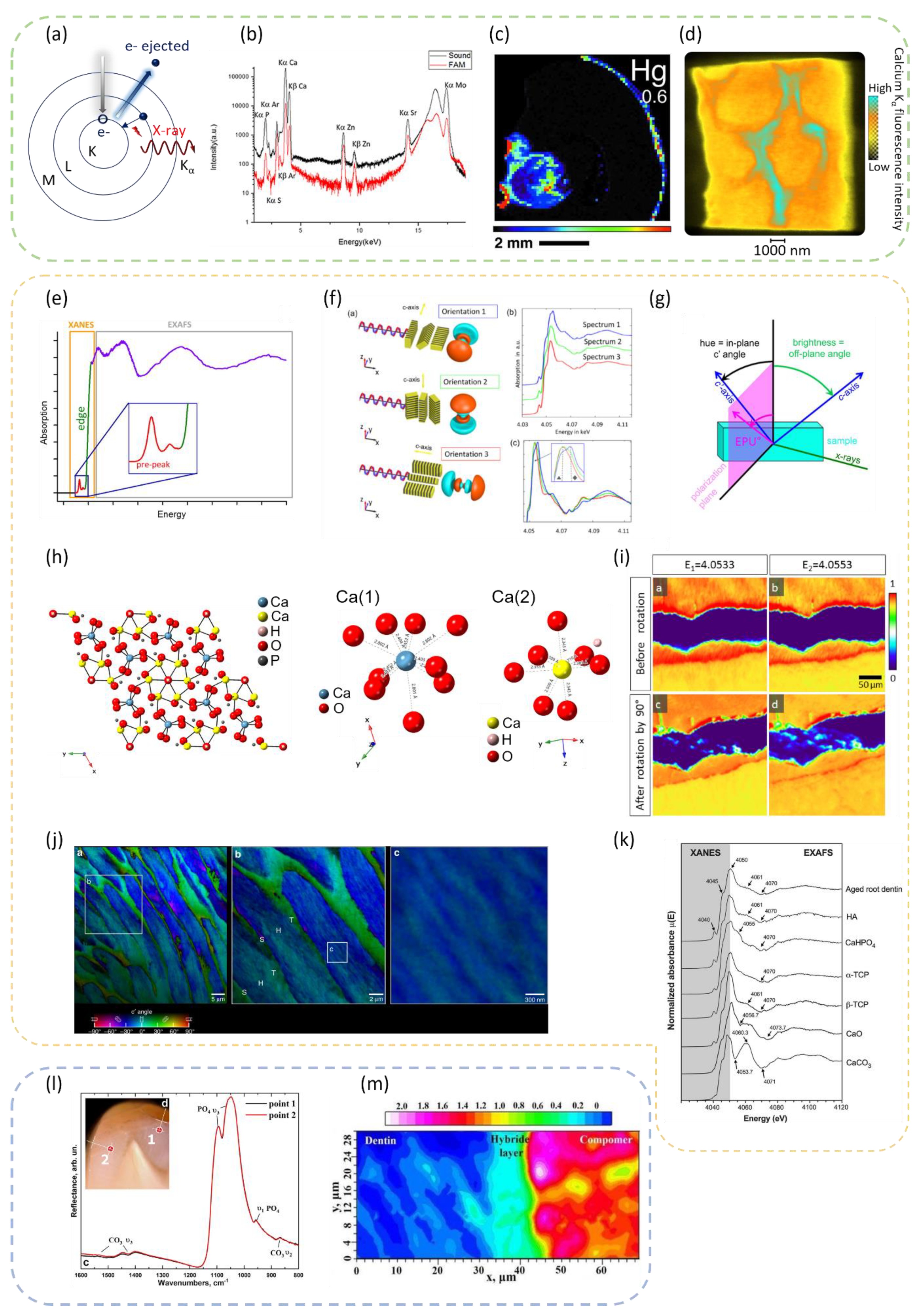 Dentistry 11 00098 g009