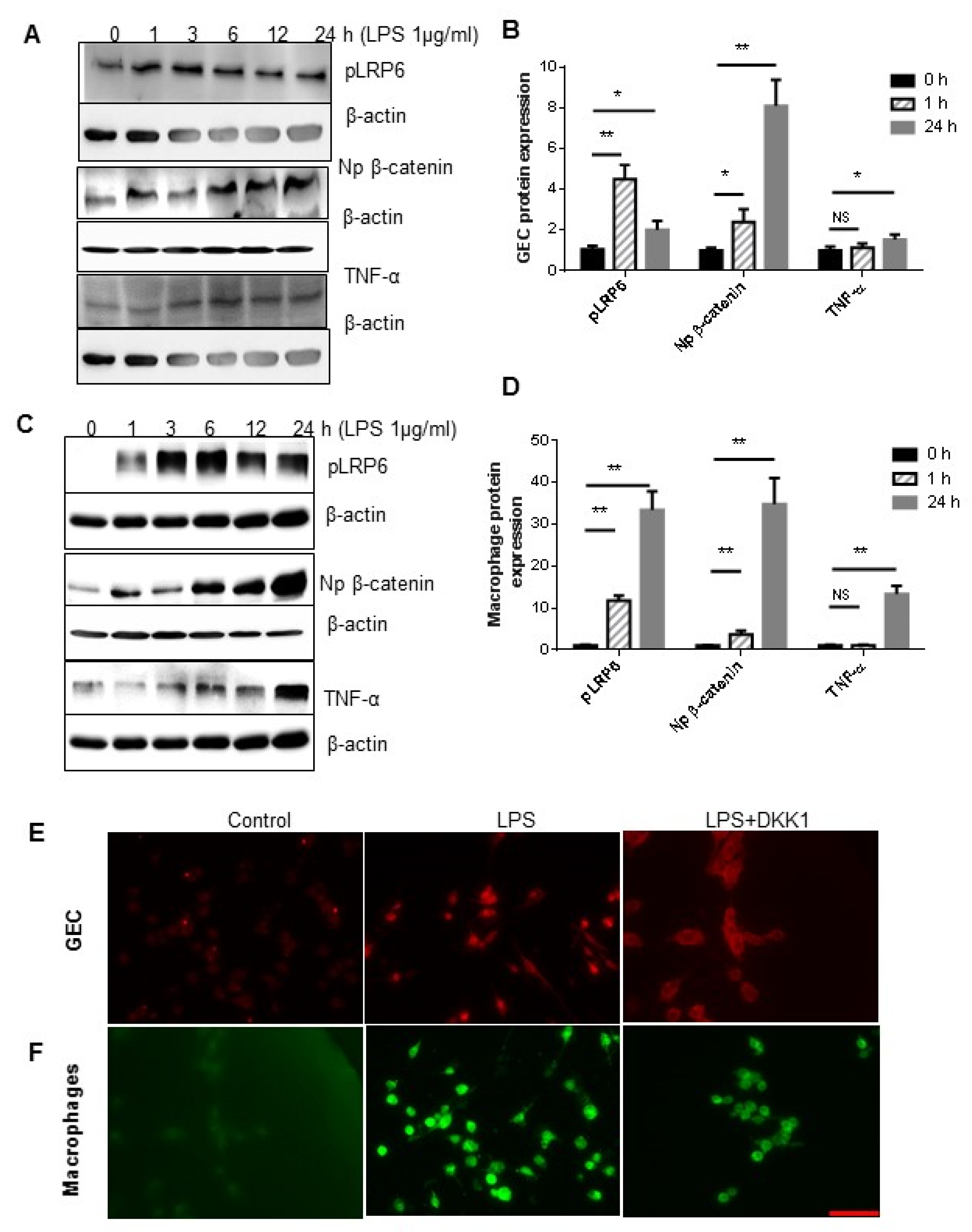 Dentistry 11 00129 g005 Dentistry 11 00129 g005