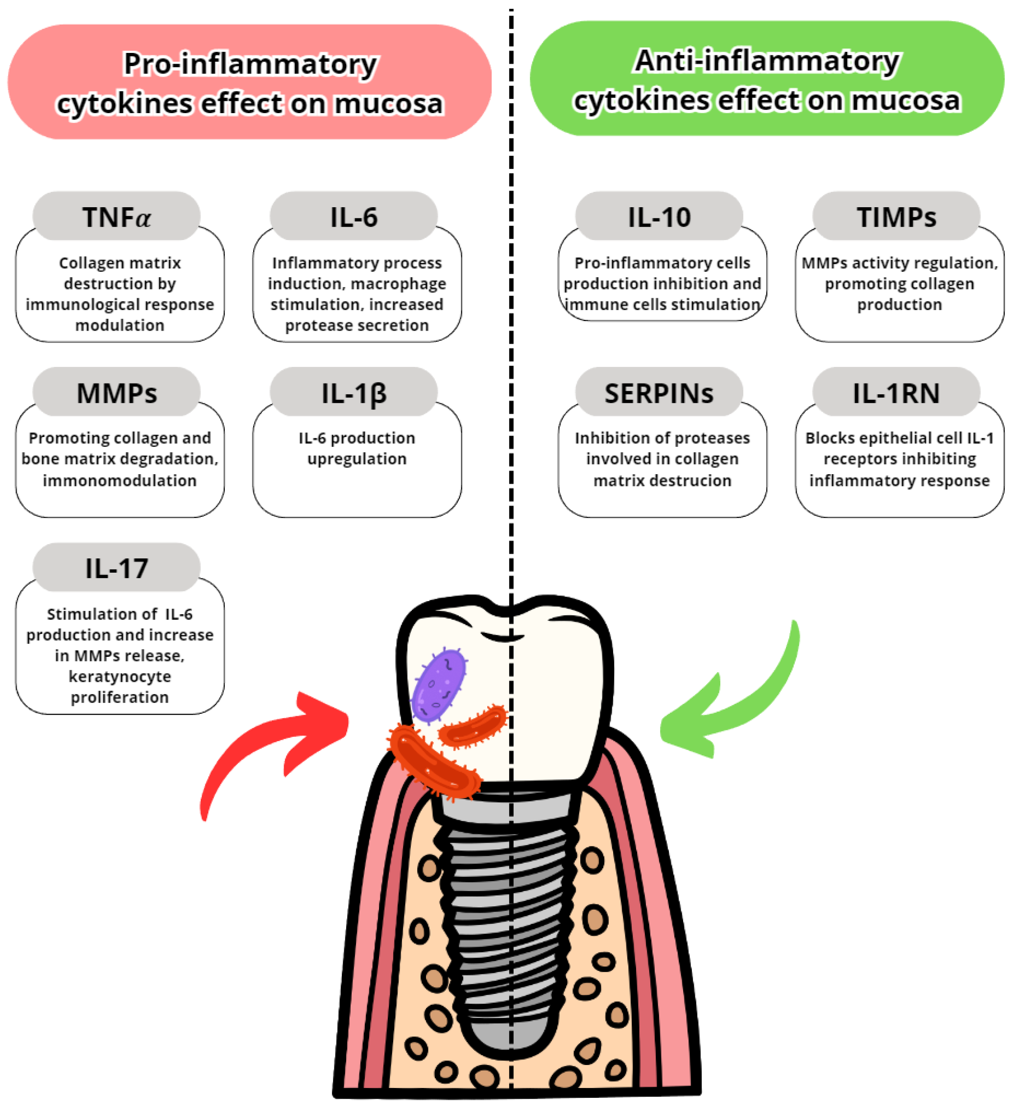 Dentistry 11 00134 g003