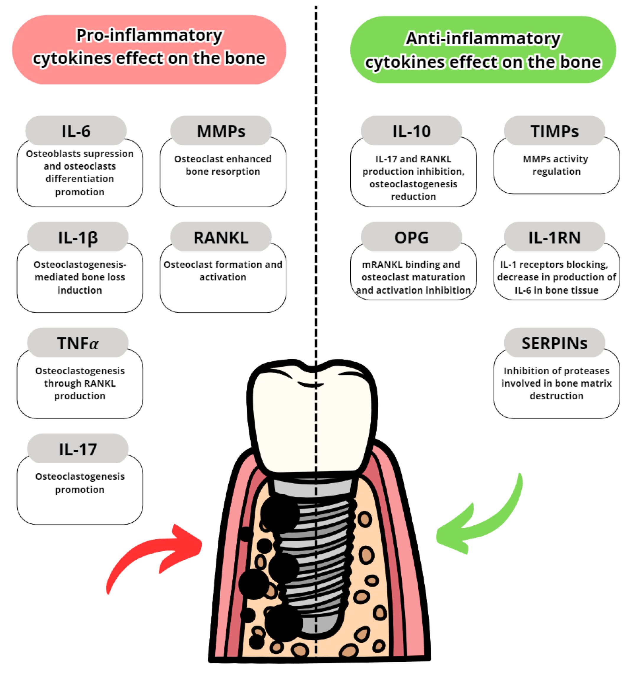 Dentistry 11 00134 g004