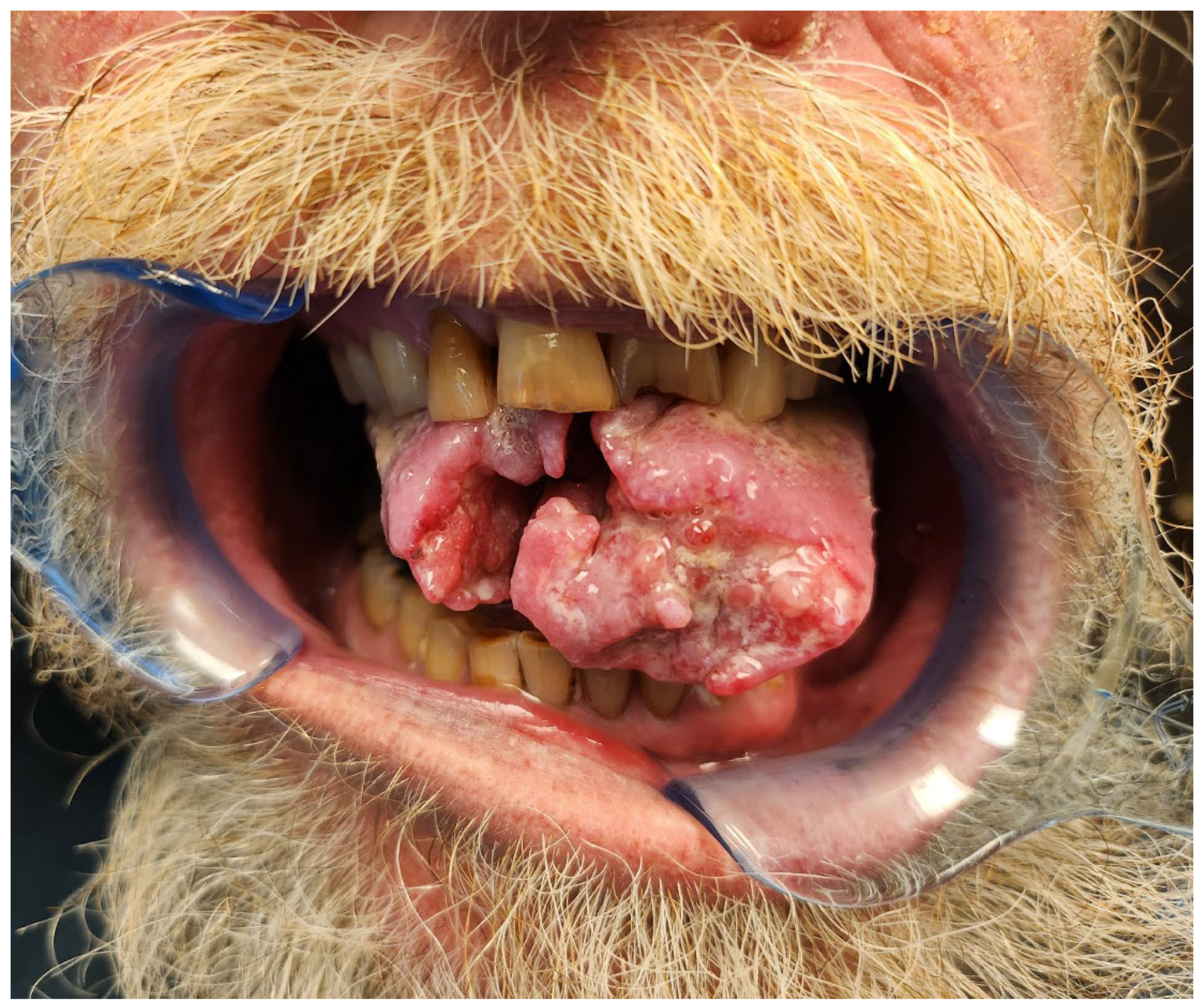 Dentistry 11 00136 g001