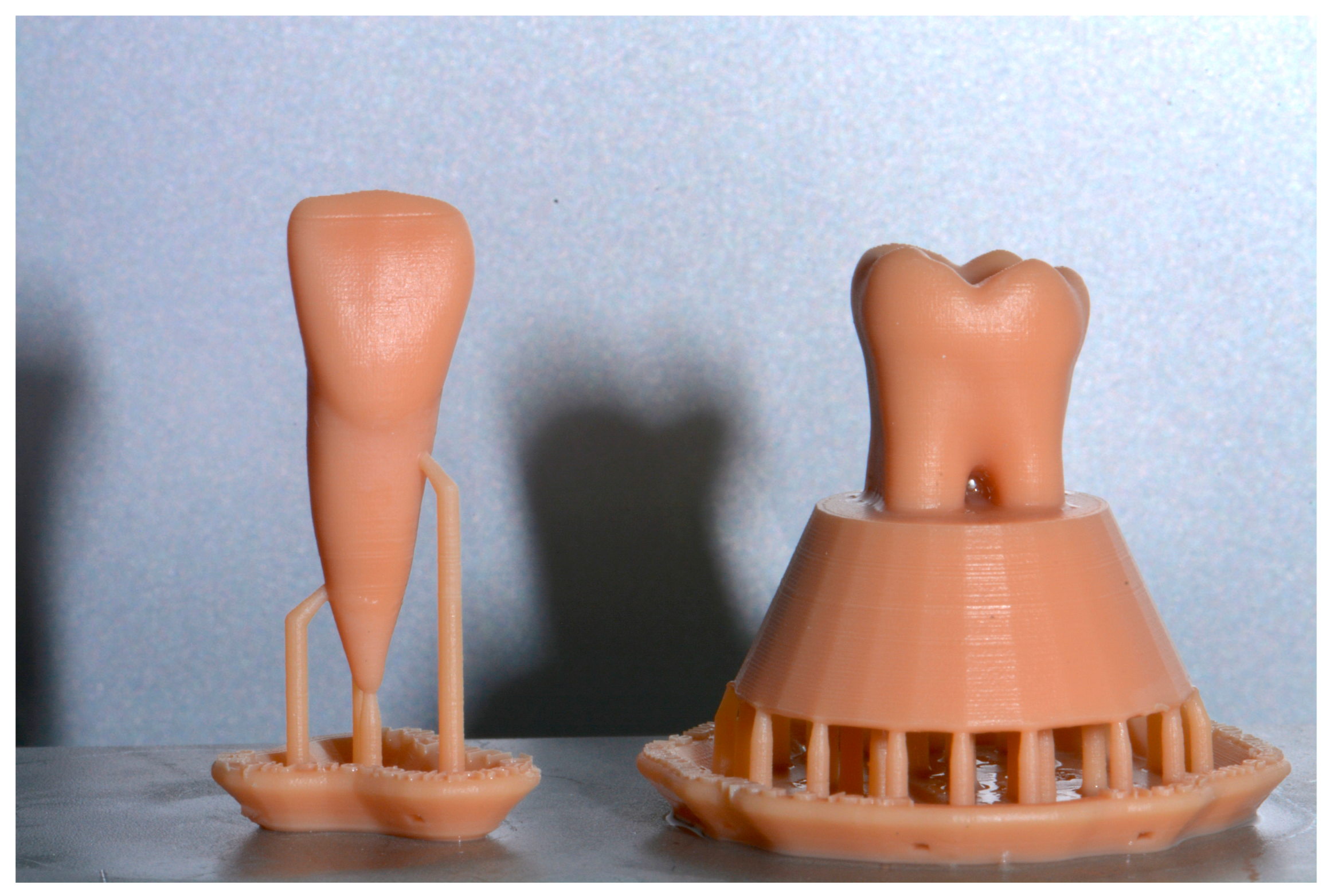 Dentistry 11 00152 g002 Dentistry 11 00152 g002