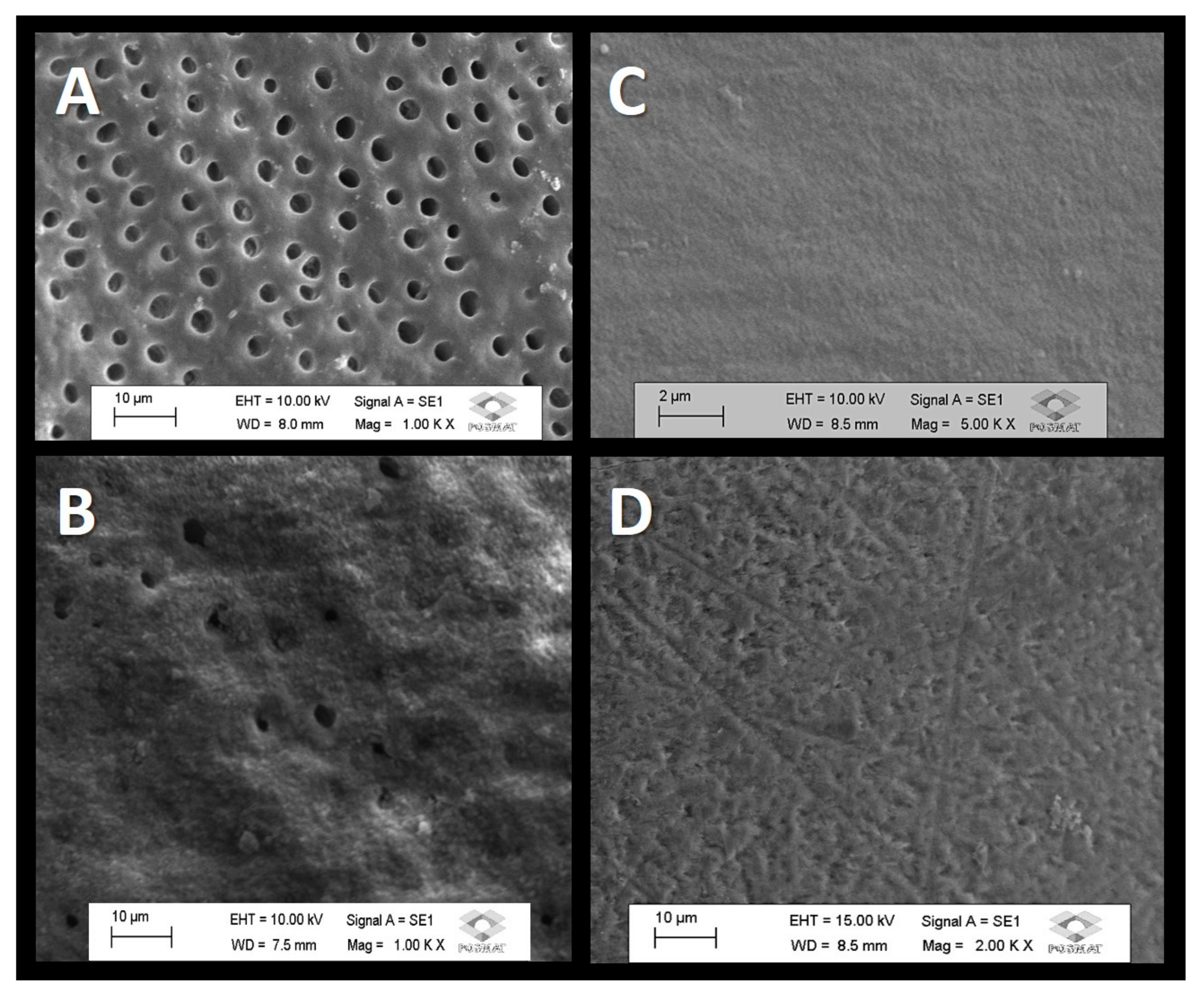 Dentistry 11 00153 g001