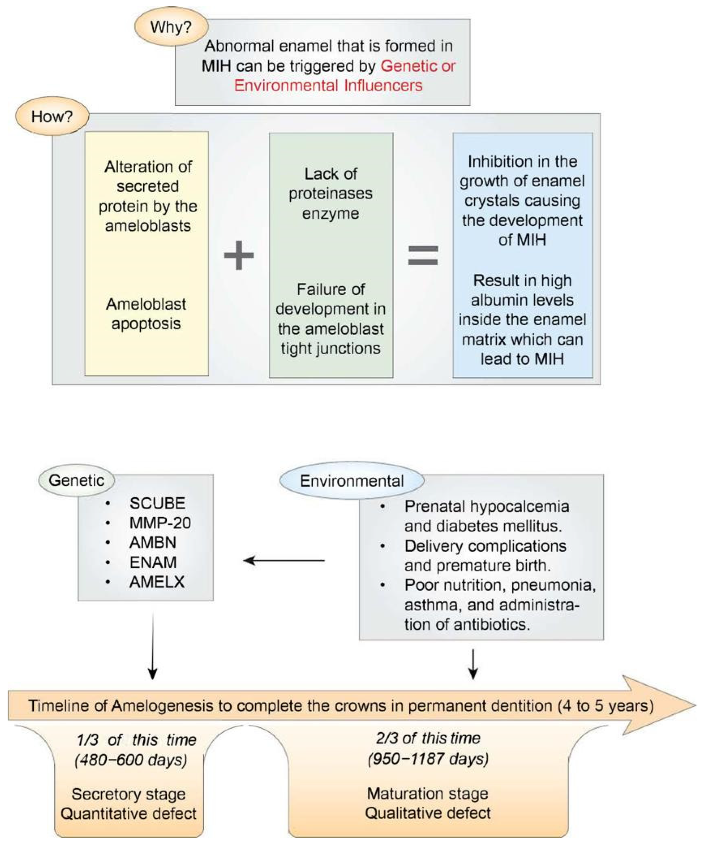 Dentistry 11 00157 g001