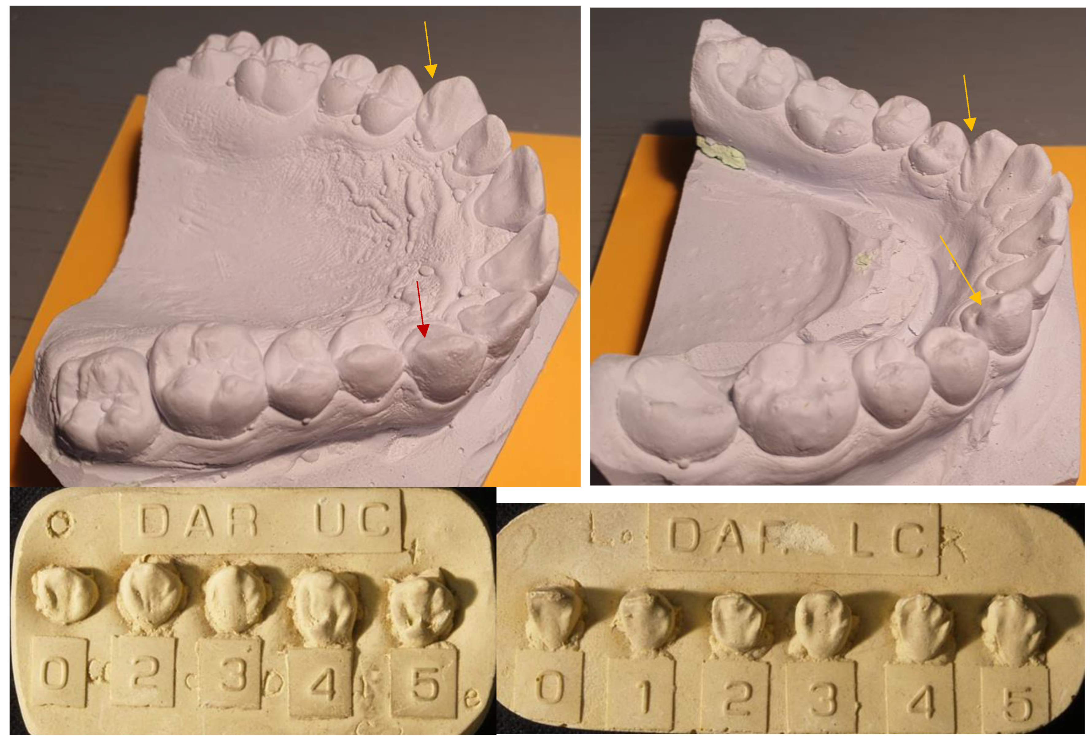 Dentistry 11 00175 g001