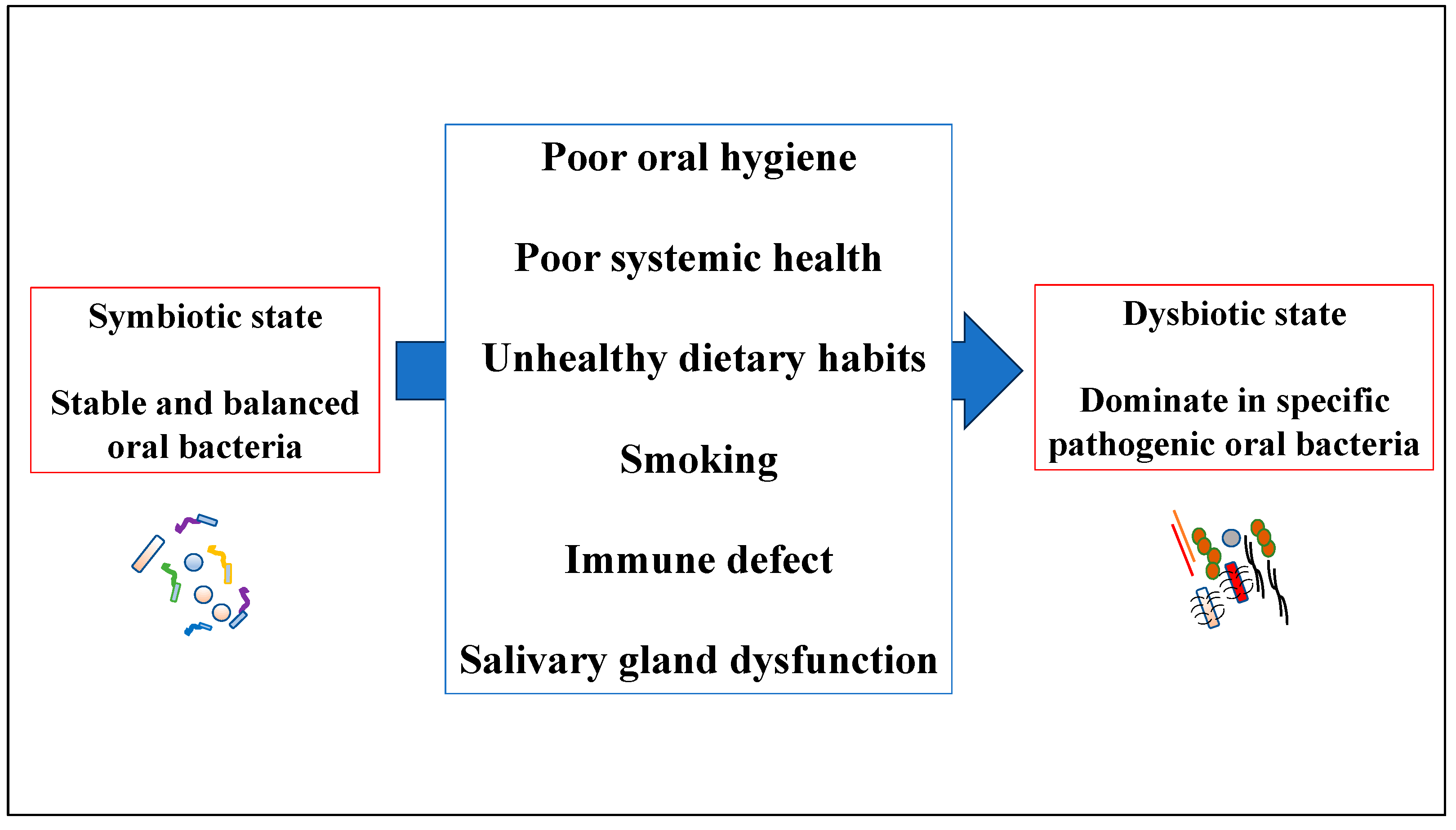 Dentistry 11 00194 g001