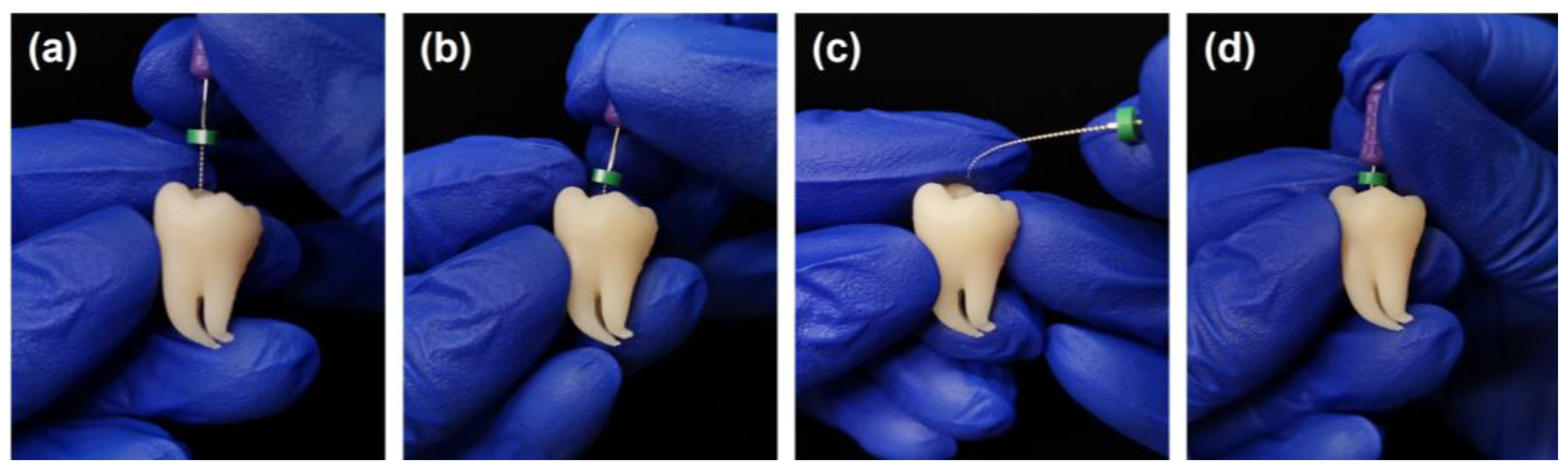 Dentistry 11 00213 g005