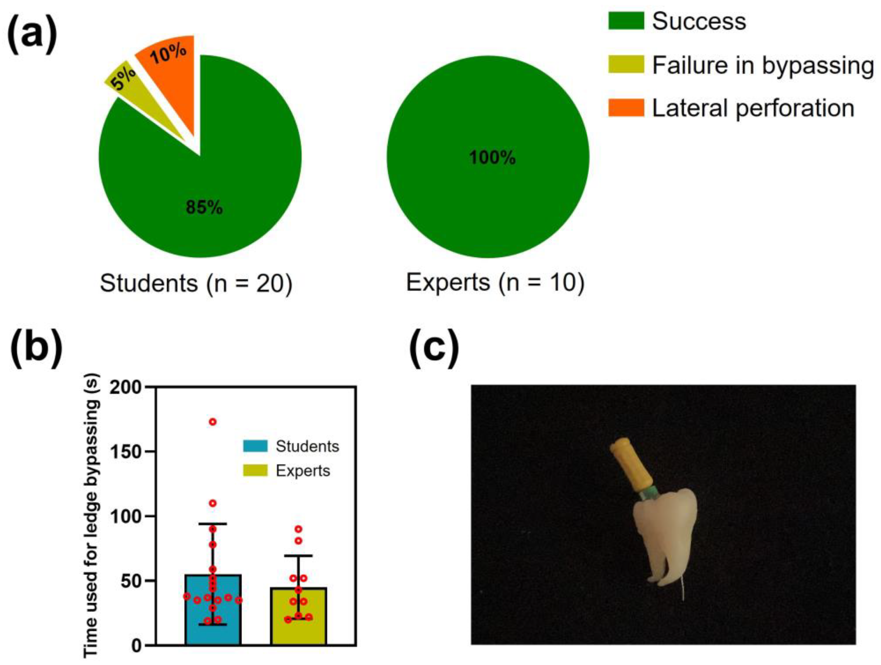 Dentistry 11 00213 g007